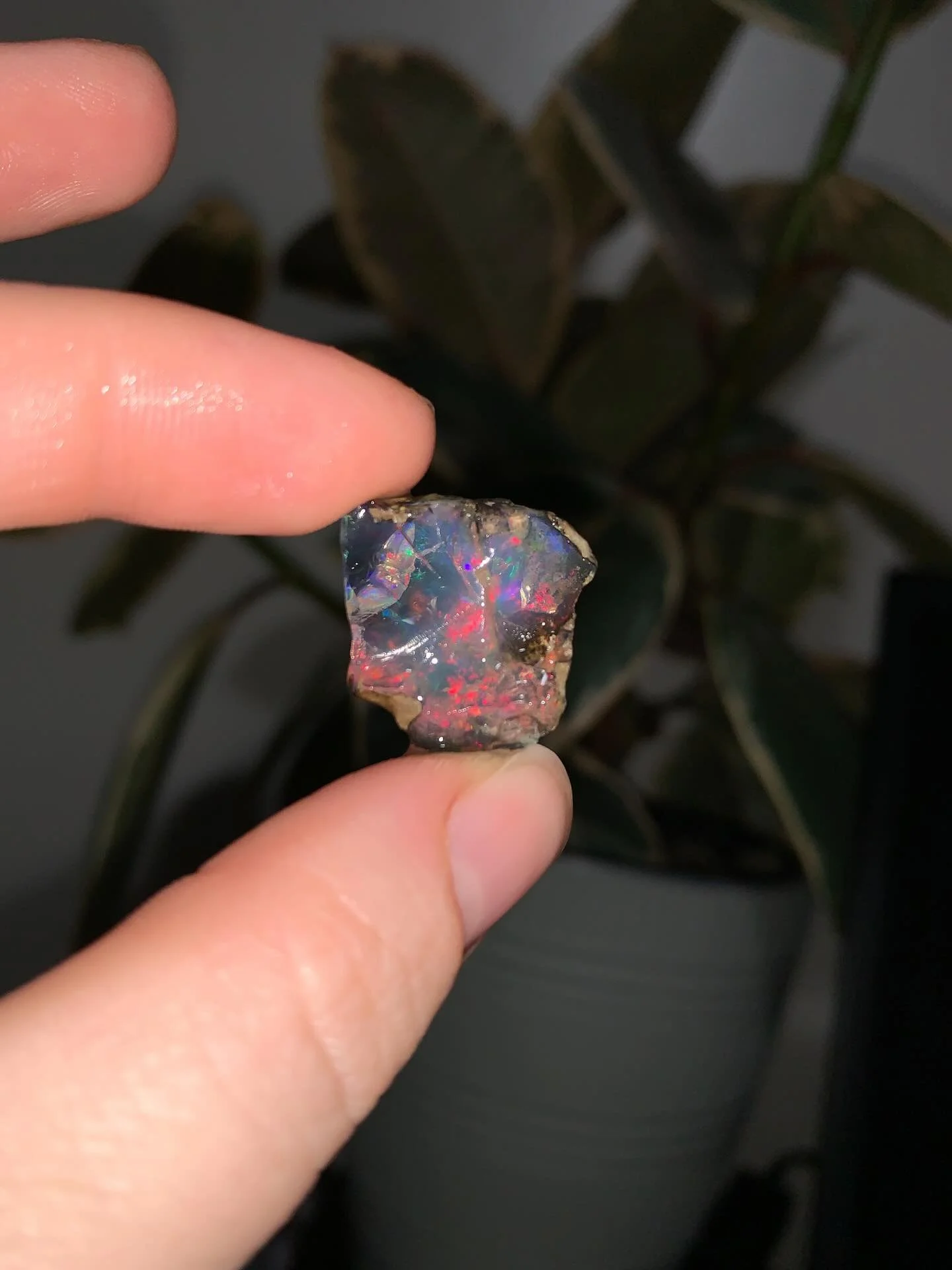 ⚡️⚡️𝓦𝓮𝓵𝓸 𝓞𝓹𝓪𝓵⚡️⚡️

* 𝕄𝕦𝕤𝕥 𝕤𝕥𝕒𝕪 𝕨𝕖𝕥

I don&rsquo;t have elan extra jar for this one but you can just keep it in any container as long as you cover it with clean water. I personally use spring water.

Welo Opals come from the Welo Pr