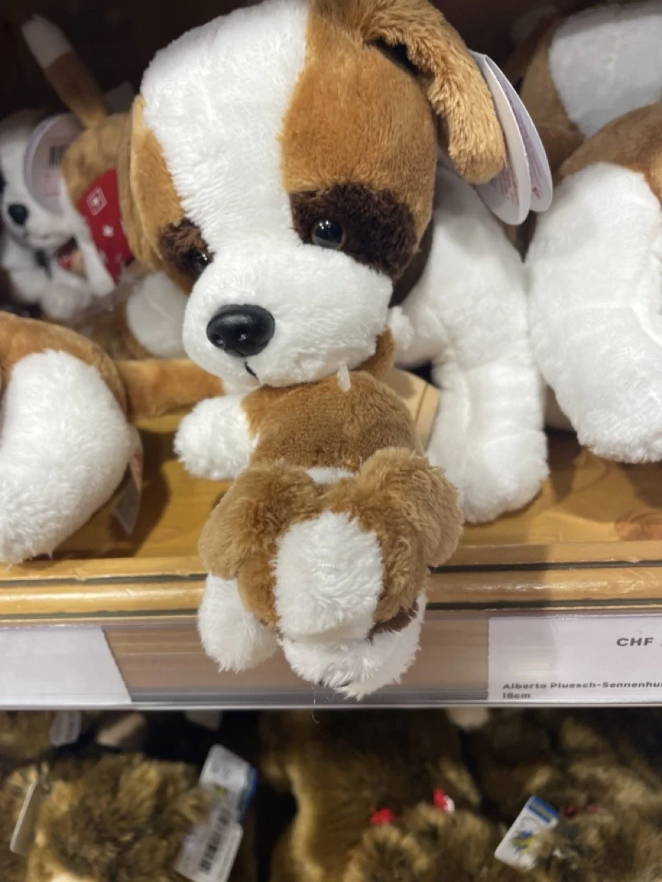 68443971961__CC78358B-4DC8-474E-BE99-2E242DC31FC7 Large.jpeg