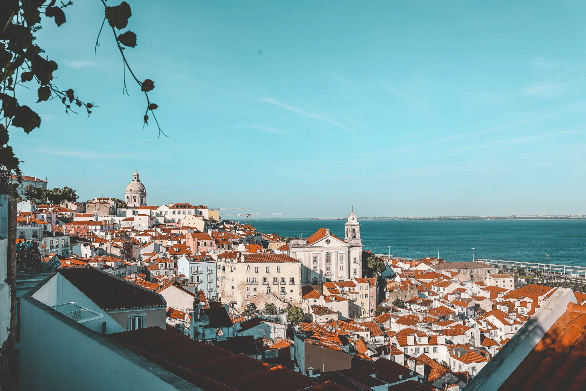 061A0825.jpg