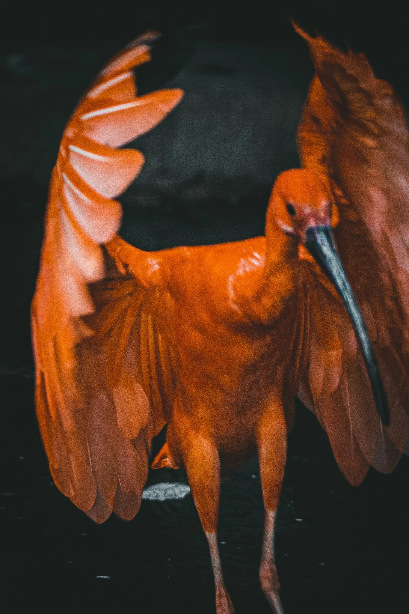 061A5925.jpg
