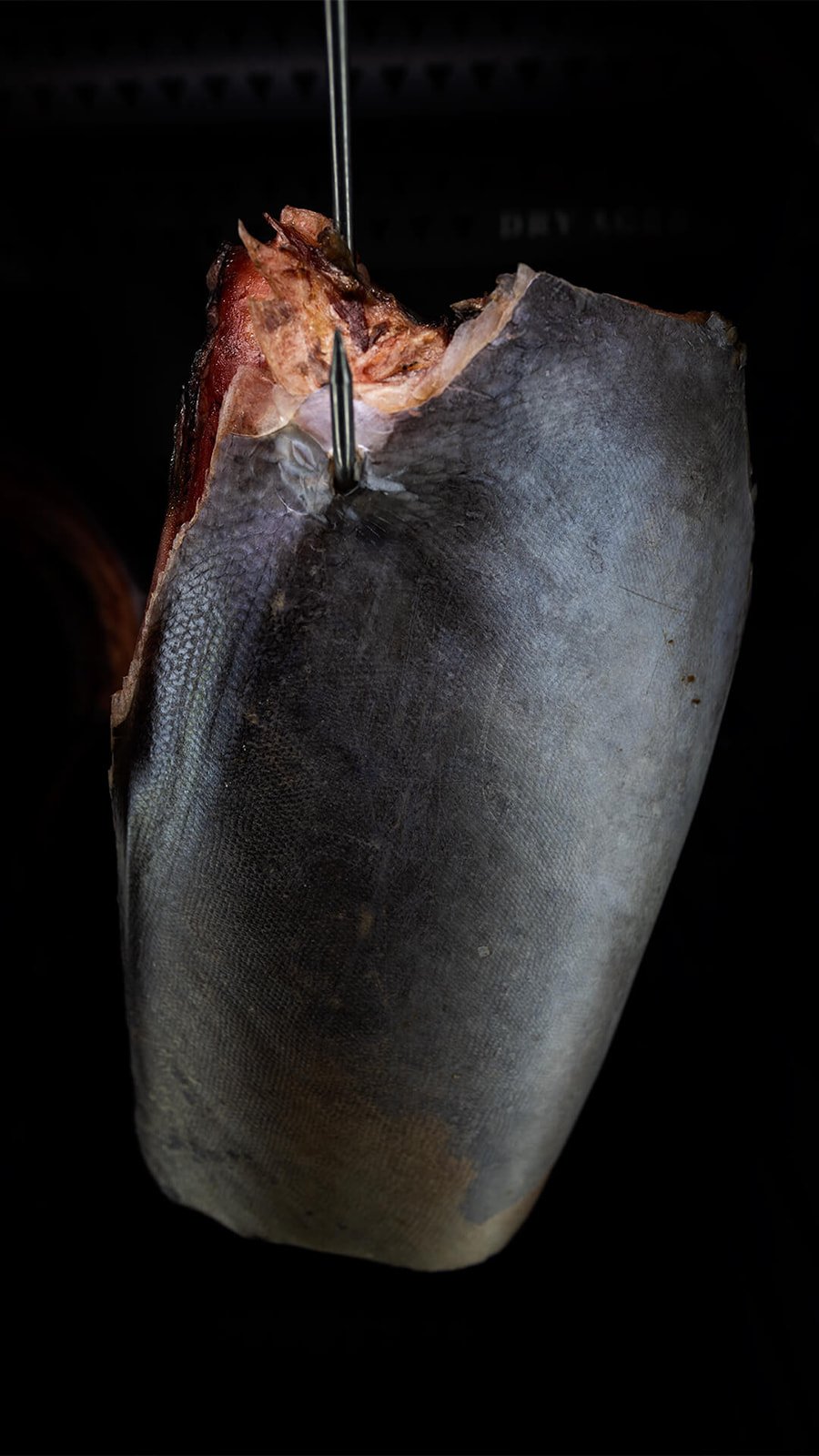 dry_aged_tuna_hanging_tiny.jpg