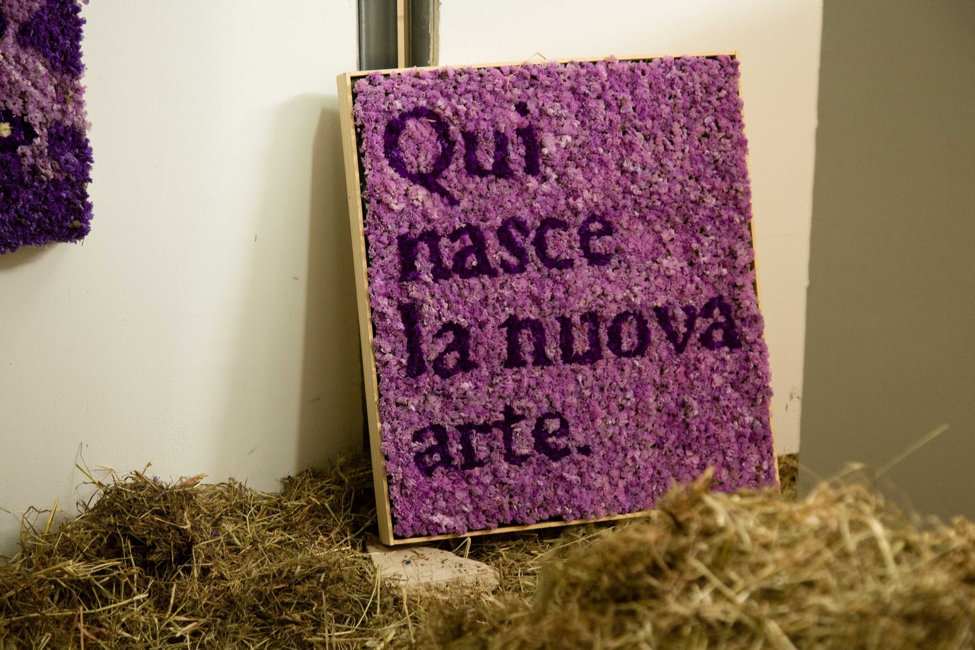 numero-cromatico.jpg