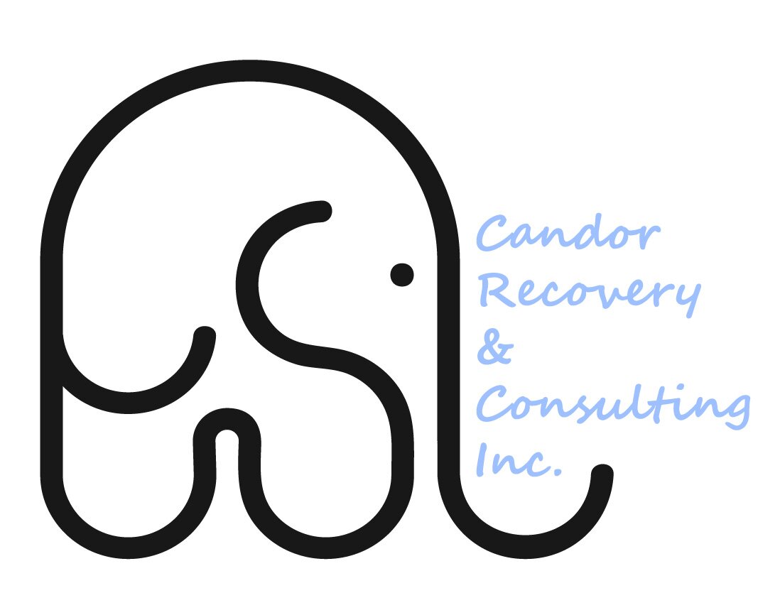 Candor Recovery &amp; Consulting, Inc. 