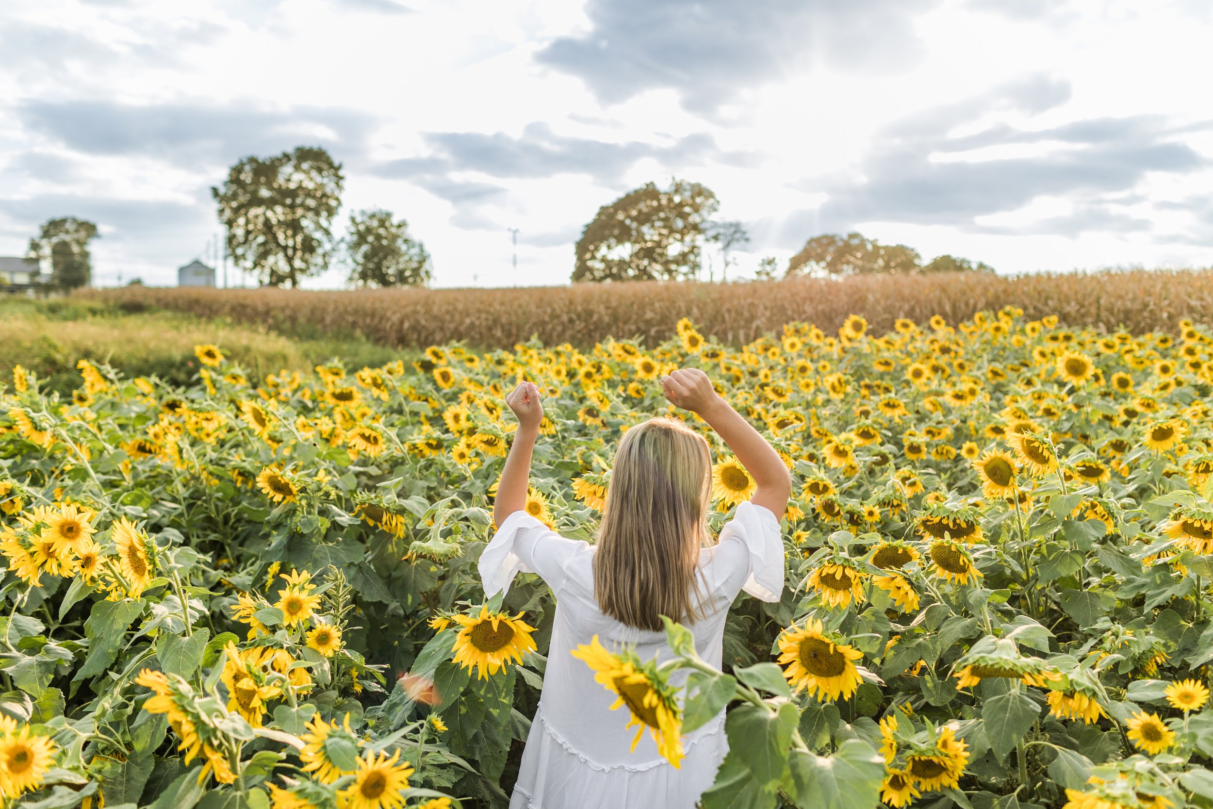 sunflowervip23-44.jpg