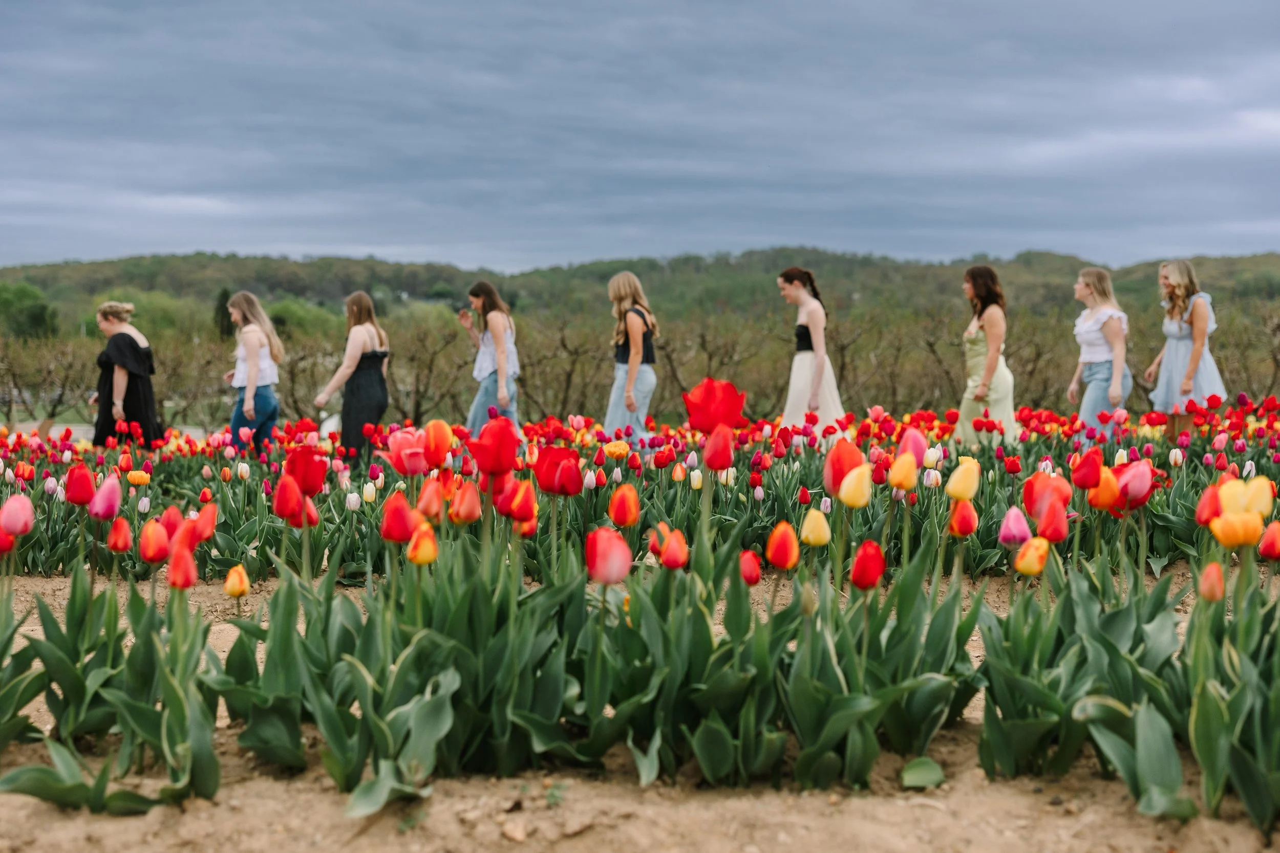 TulipfieldVIP25-4.jpg