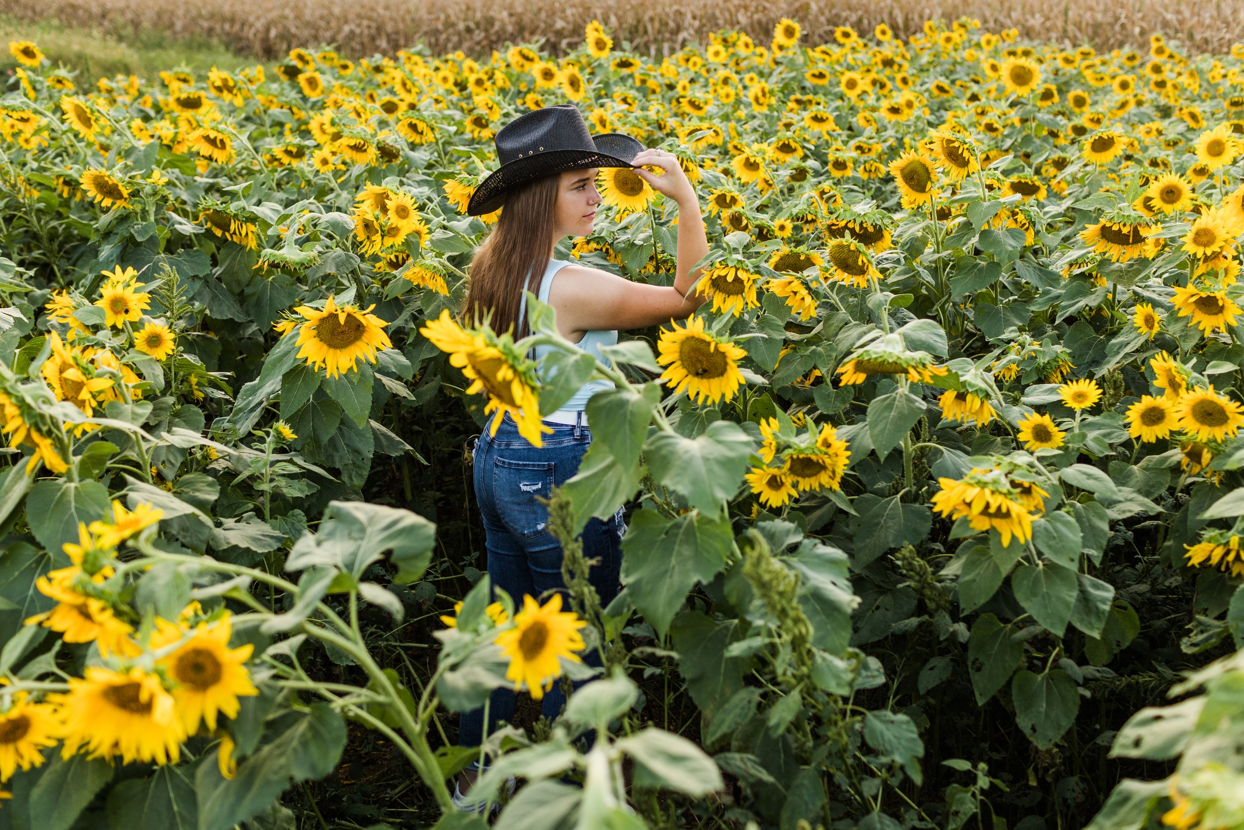 sunflowervip23-88.jpg