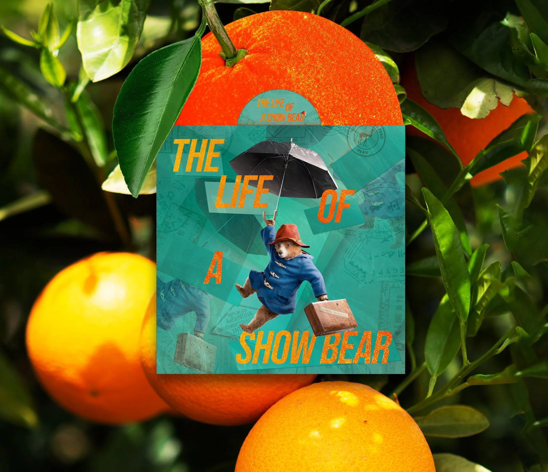 The Life of a Show Bear