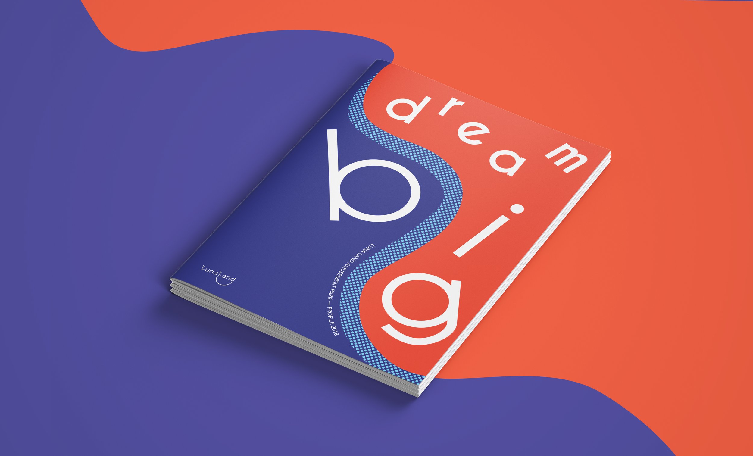 dreambig-cover 2.jpg