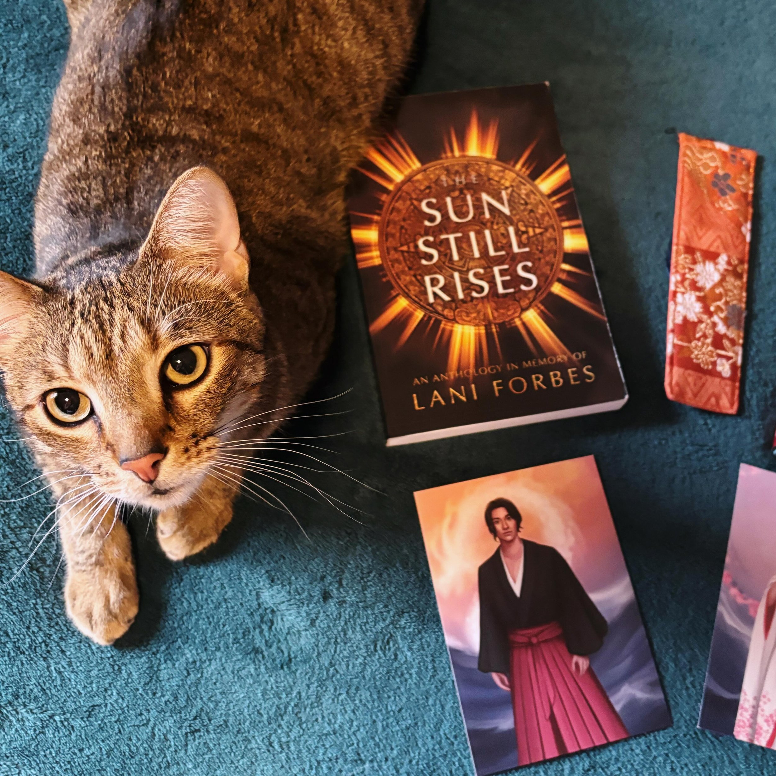 Keefe pretending he isn&rsquo;t a stinker 😻

I&rsquo;m currently reading SAINTS AND MONSTERS by @ellenmcginty_author , which is what those art pieces and kimono bookmark are from. I recently read a part where the main character Meera visits Fever Ho