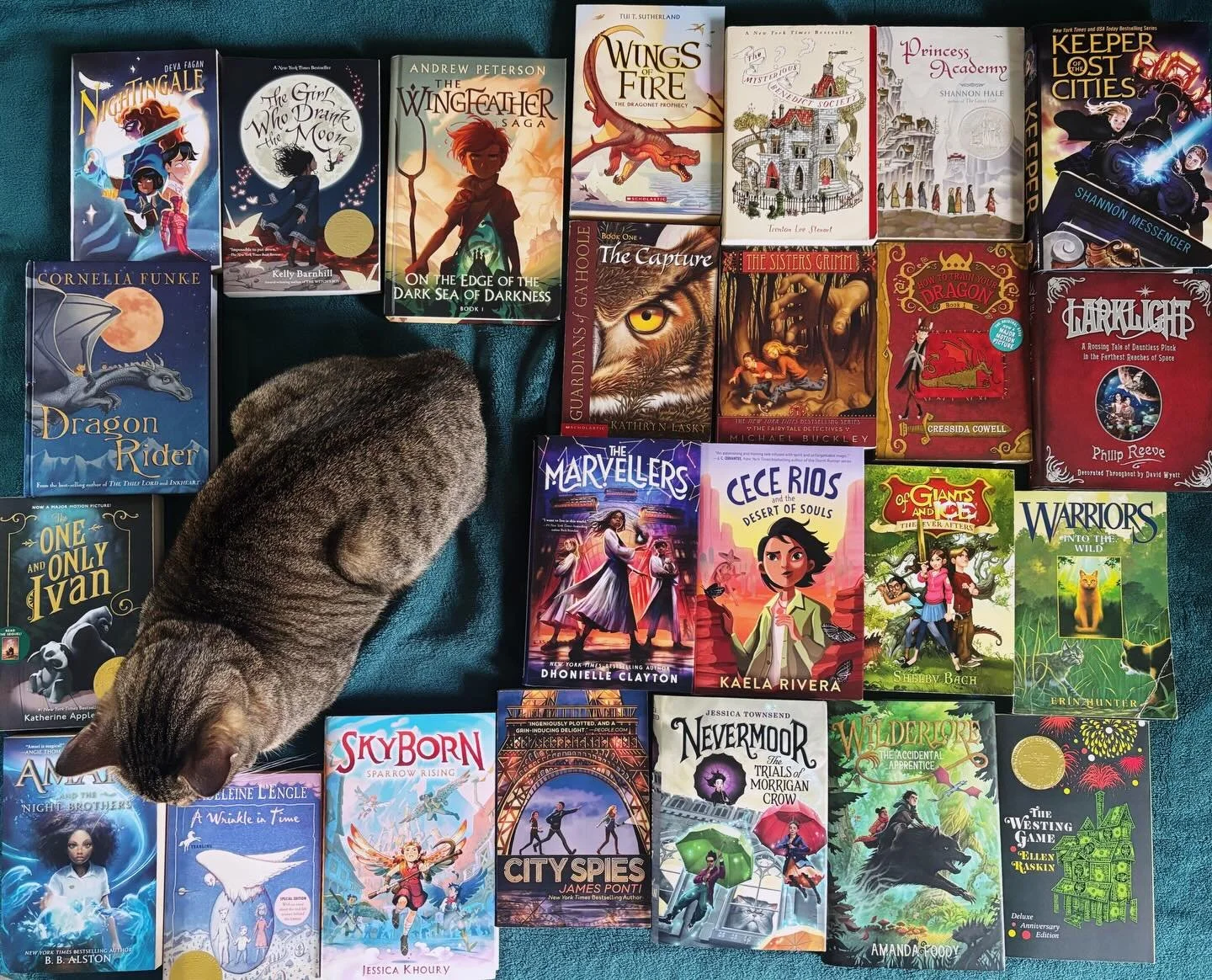 Are you reading any middle grade for #middlegrademarch? 📚 

I know Middle Grade March is almost over now, but I had to share some of my favorite MG books! 😍 middle grade is such an incredible genre full of fun and heart and important themes, and I 
