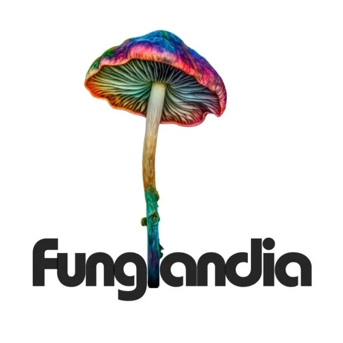 Funglandia logo.jpg