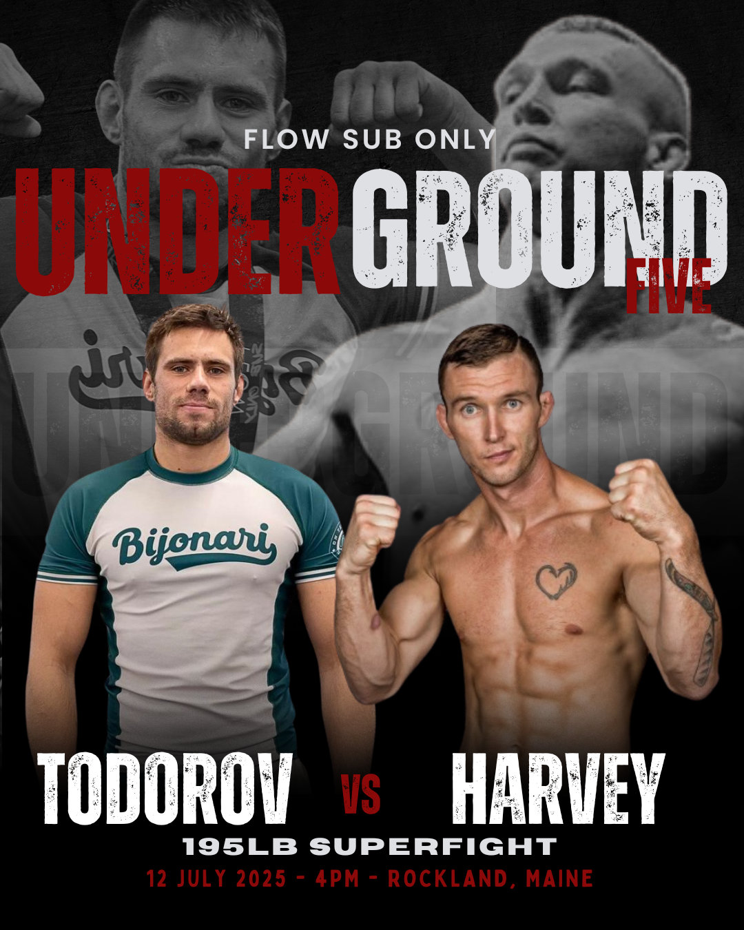 todorov vs harvey.png