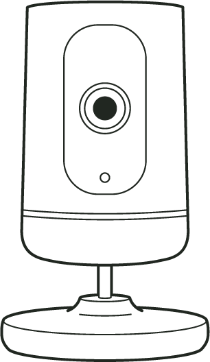 Ping Camera.png