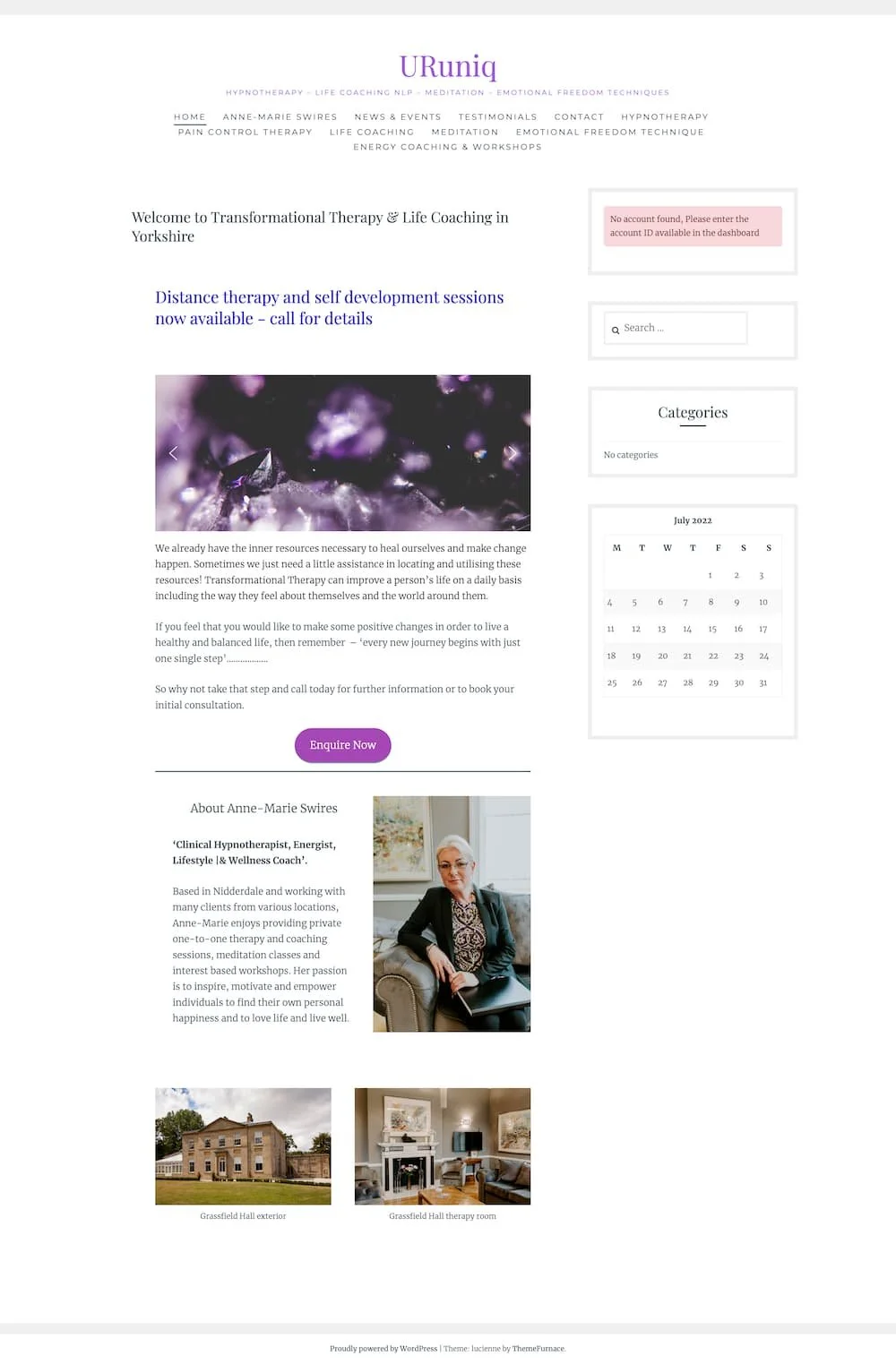 Old website screenshot for client