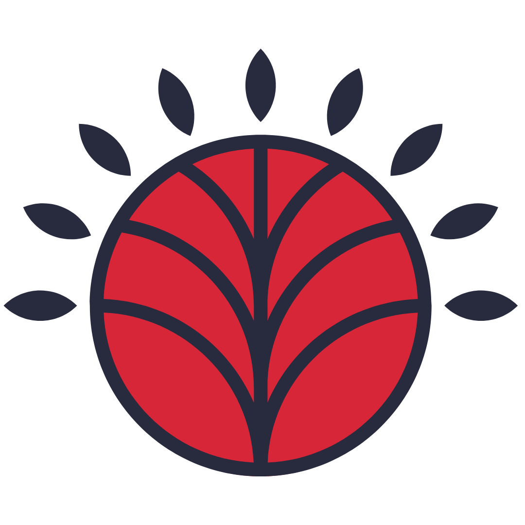 Jane Hinchliffe · Creative Squarespace Web Designer UK