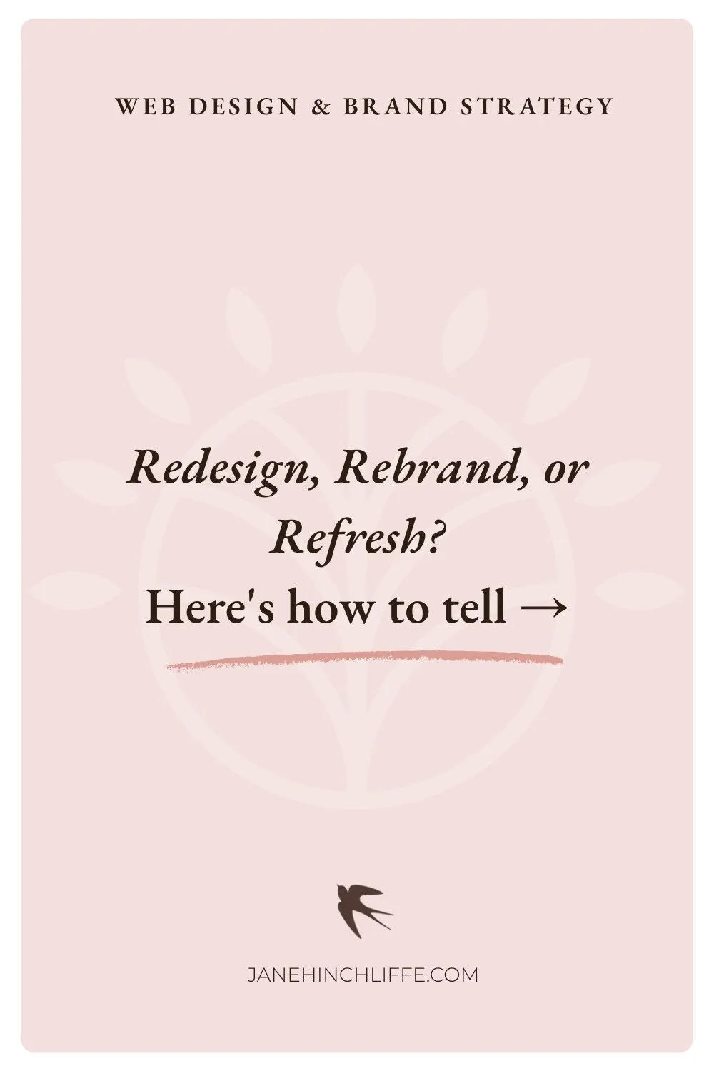 Website Redesign vs. Rebranding: Website Redesign vs Rebranding: Which Do You Need?