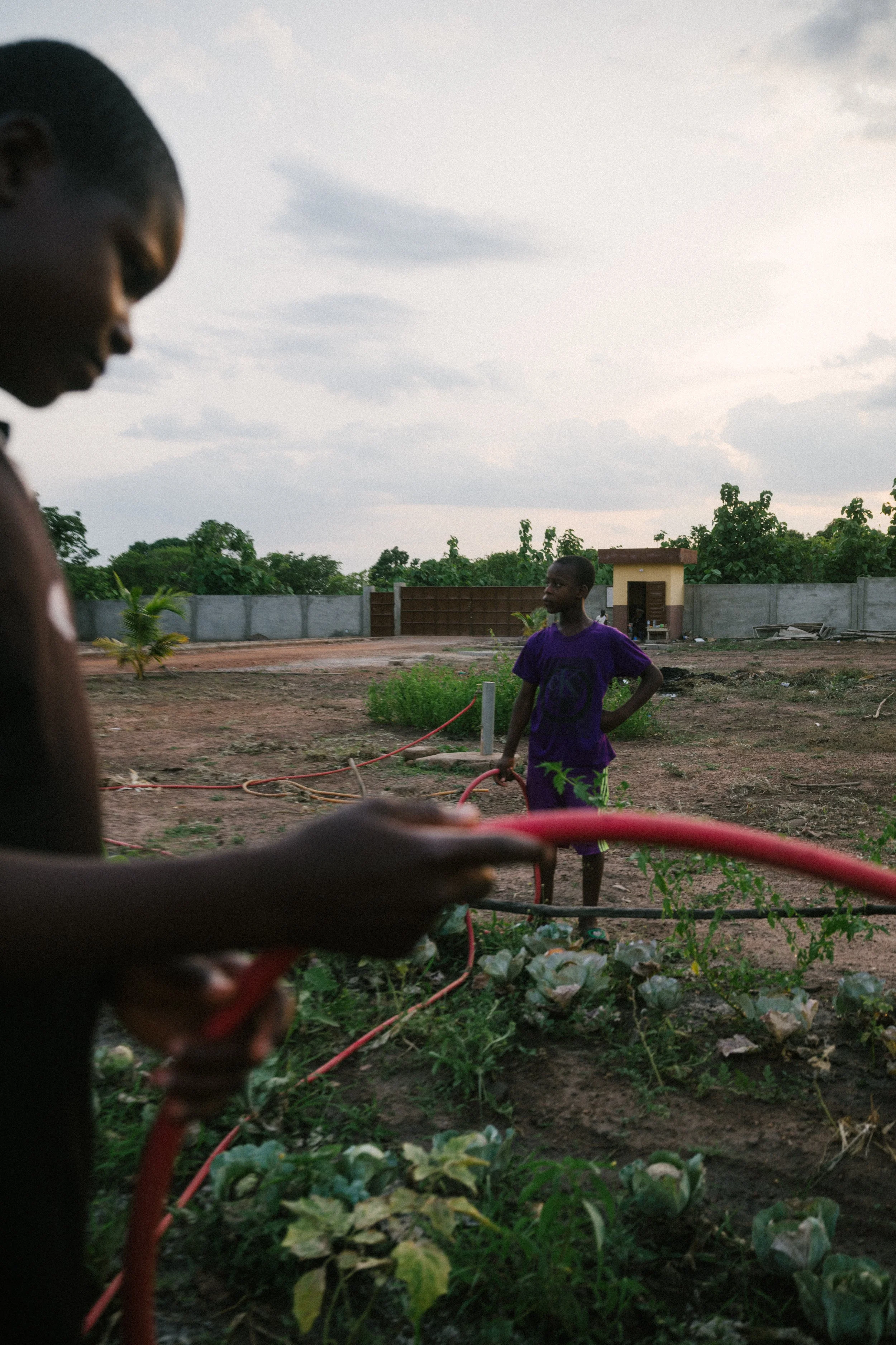 Two boys watering a vegetable garden in an outdoor area with a concrete wall and trees in the background.