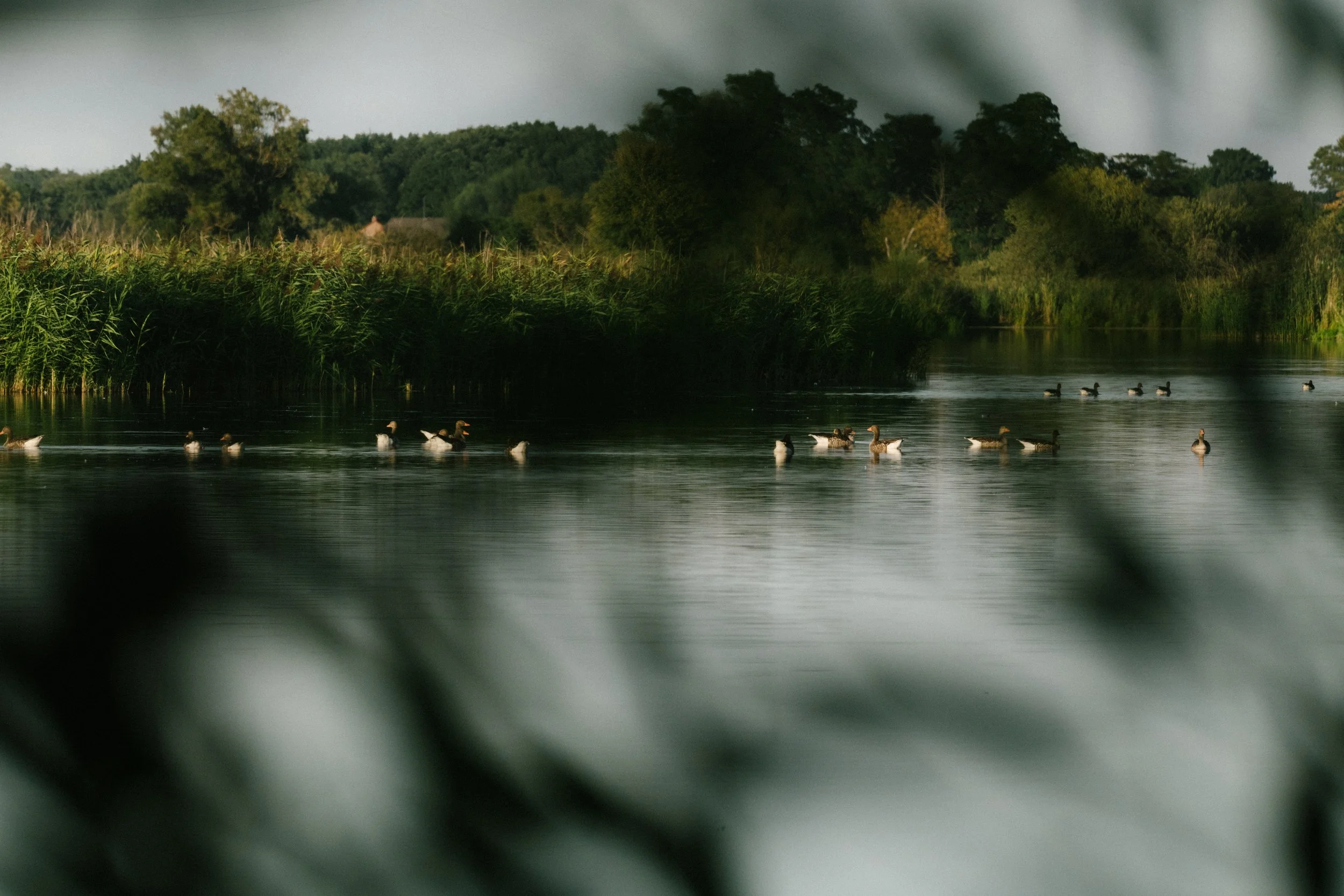 NABU Havel Renaturierung Kano Reportagefotografie Natur Brandenburg