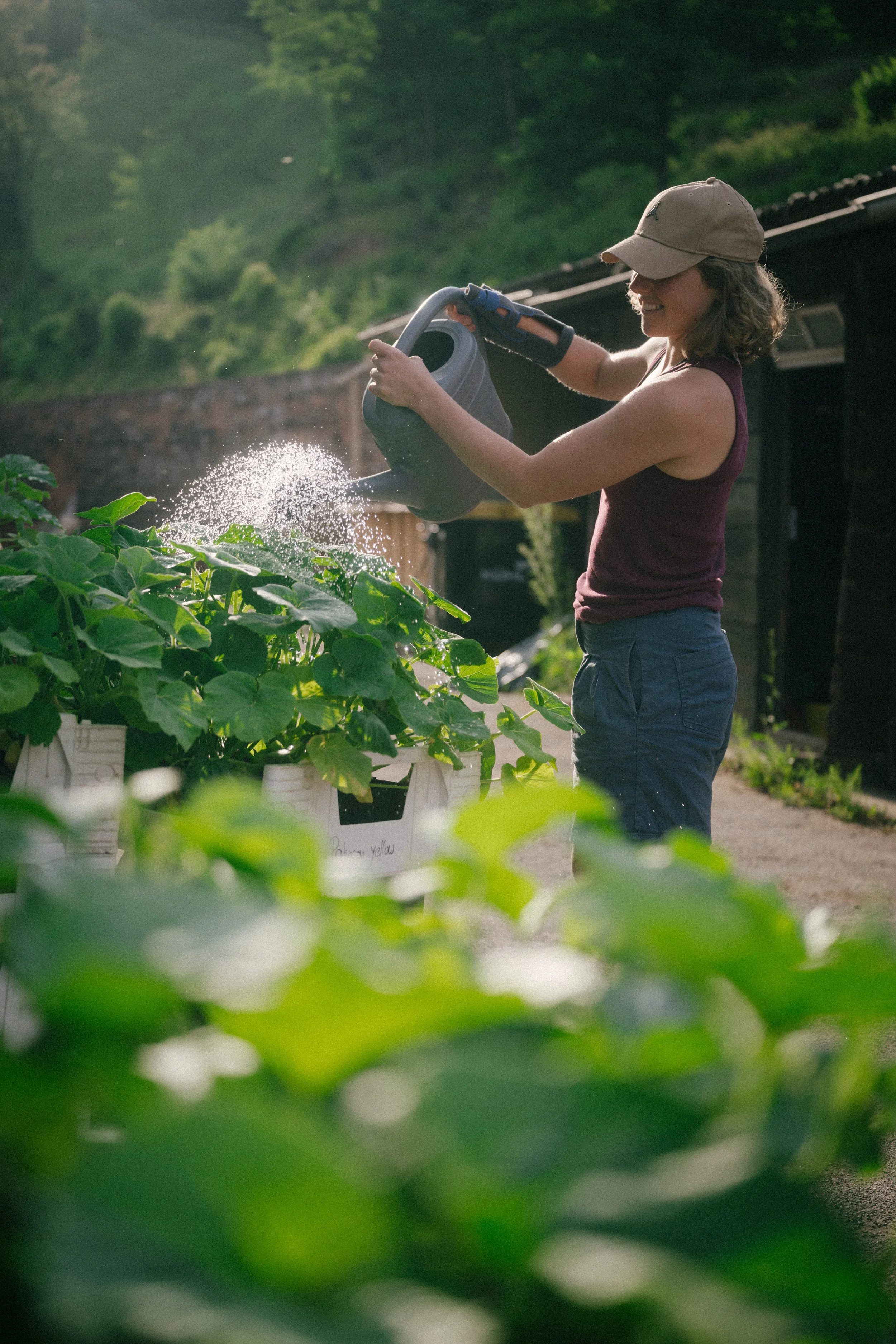 A woman wearing a baseball cap, glasses, and a sleeveless top waters plants in a garden using a watering can. She smiles as she tends to the plants, surrounded by green foliage.