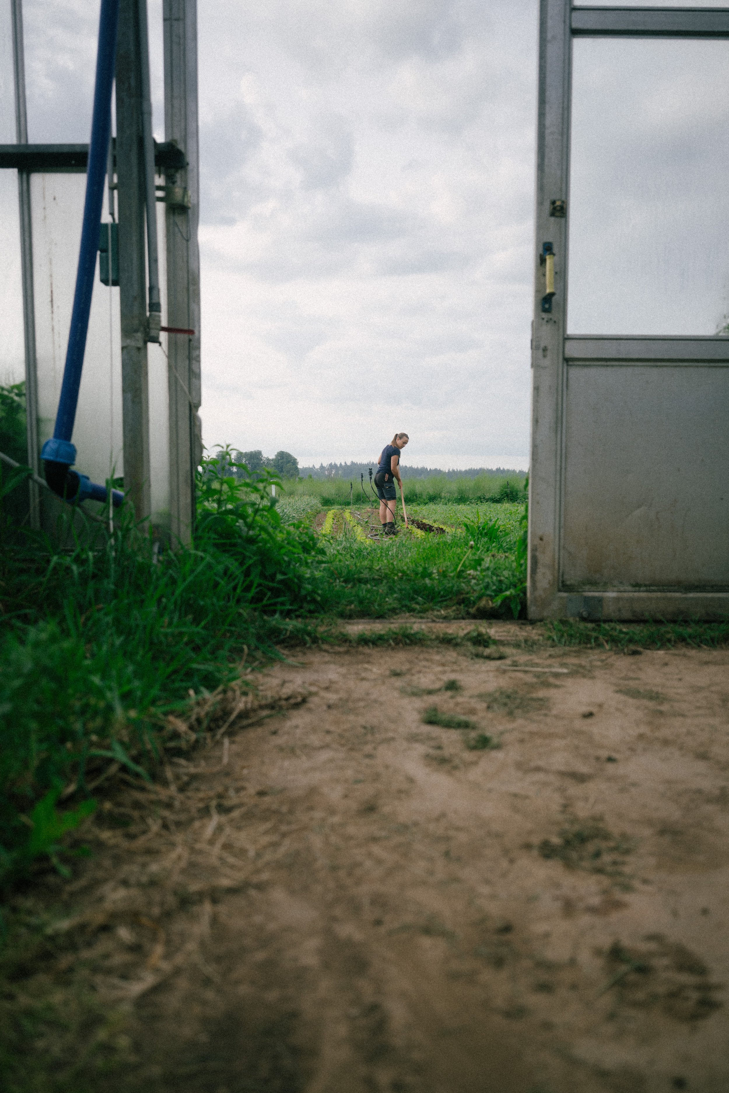 A person working on a garden plot, seen through an open door or gate, with cloudy sky overhead.