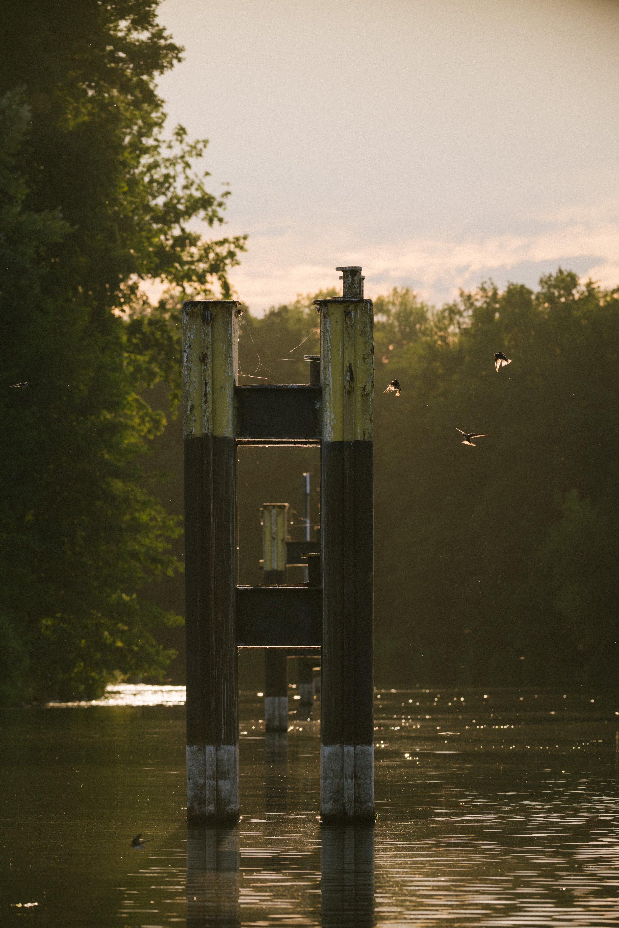 NABU Havel Renaturierung Kano Reportagefotografie Natur Brandenburg