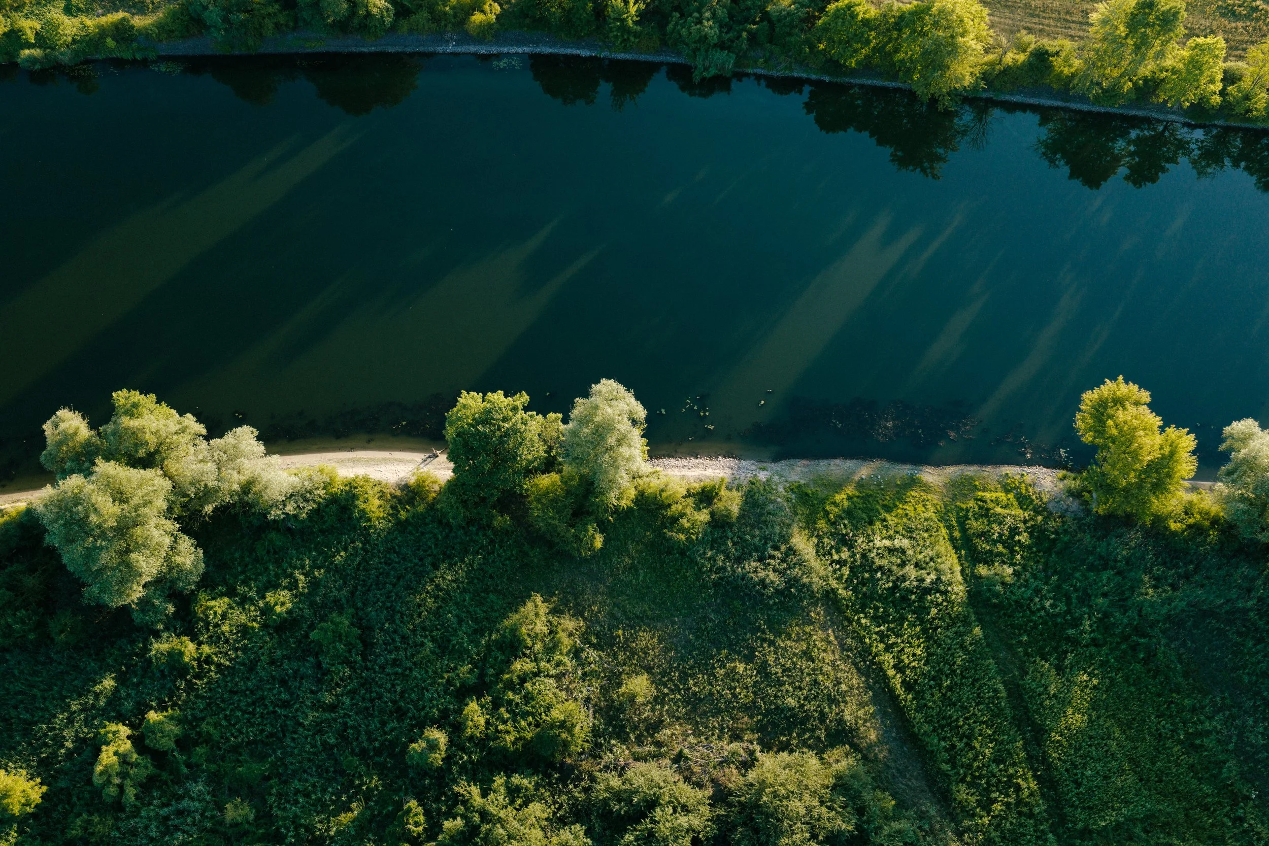 NABU Havel Renaturierung Kano Reportagefotografie Natur Brandenburg