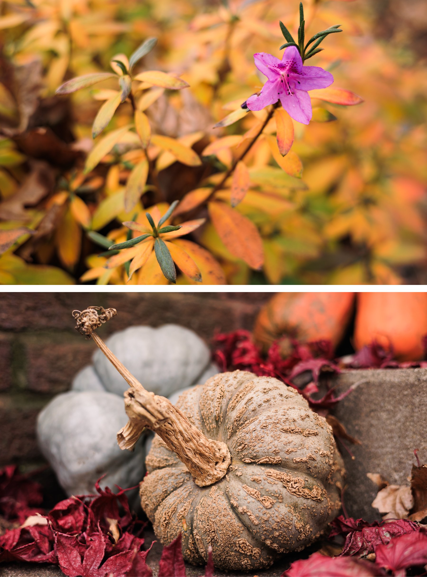 Diptych_Week49.jpg