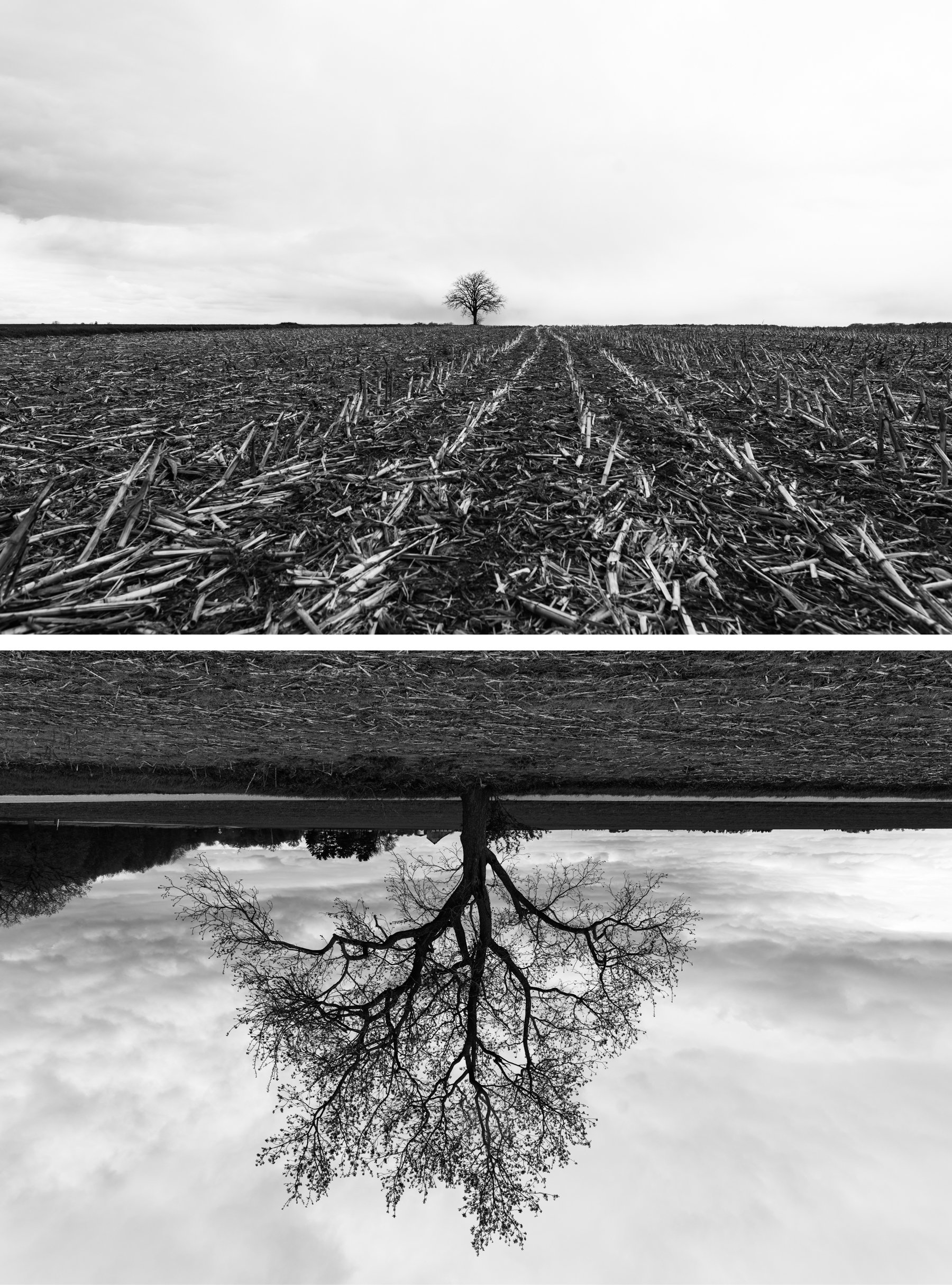 Champaign County Illinois