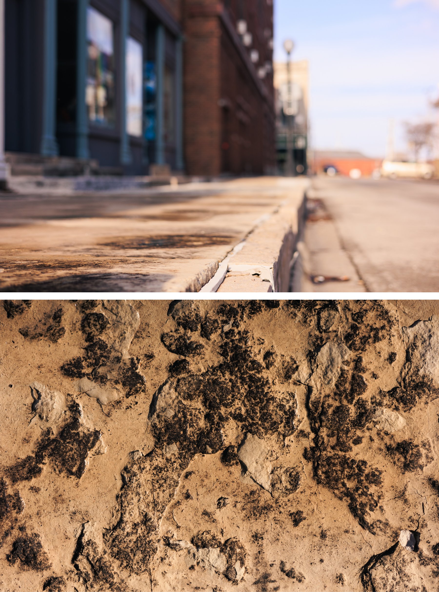 Diptych_Week52.jpg
