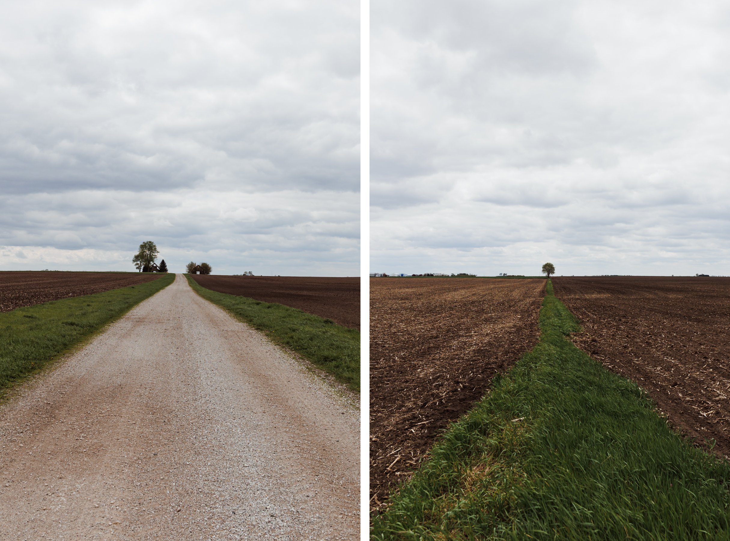 Champaign County Illinois