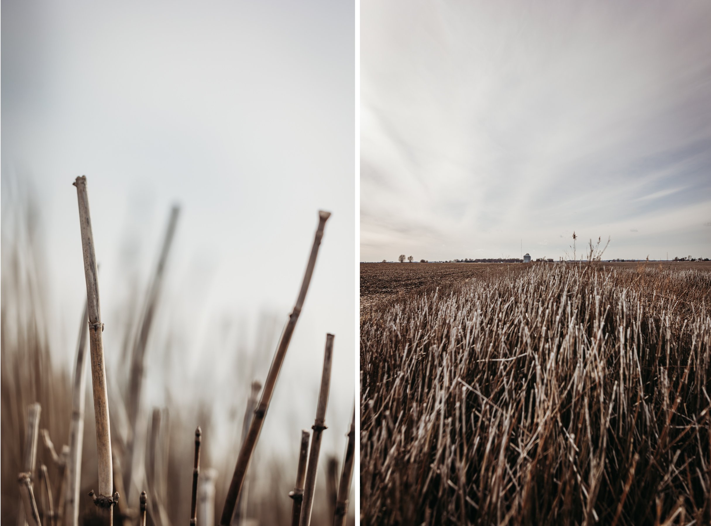 Champaign County, IL Route 10