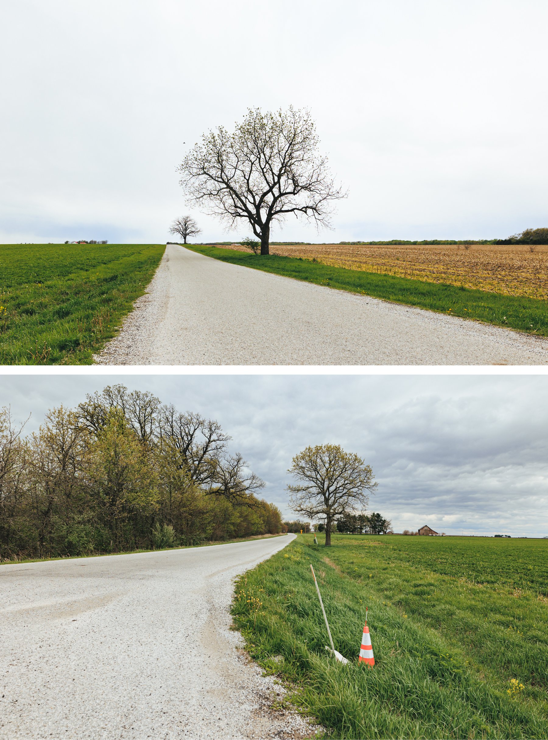 Champaign County Illinois