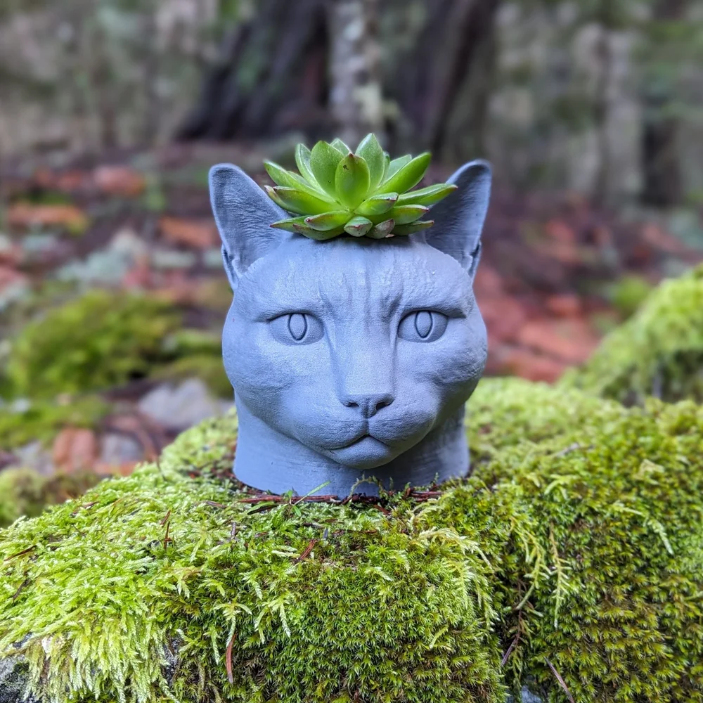 Wooden Cat Planter  Fern Heights