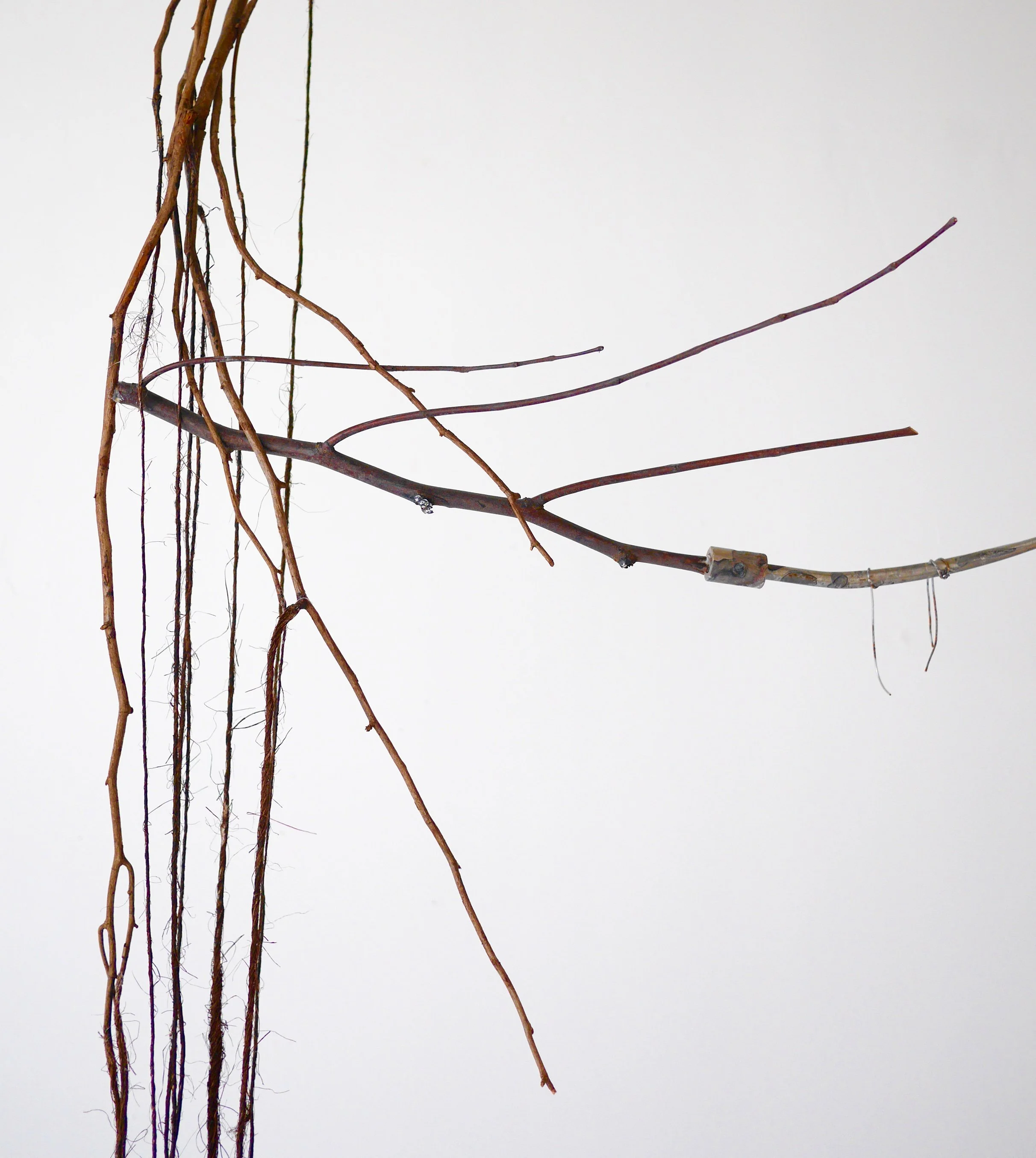 Descent Detail 2.jpg