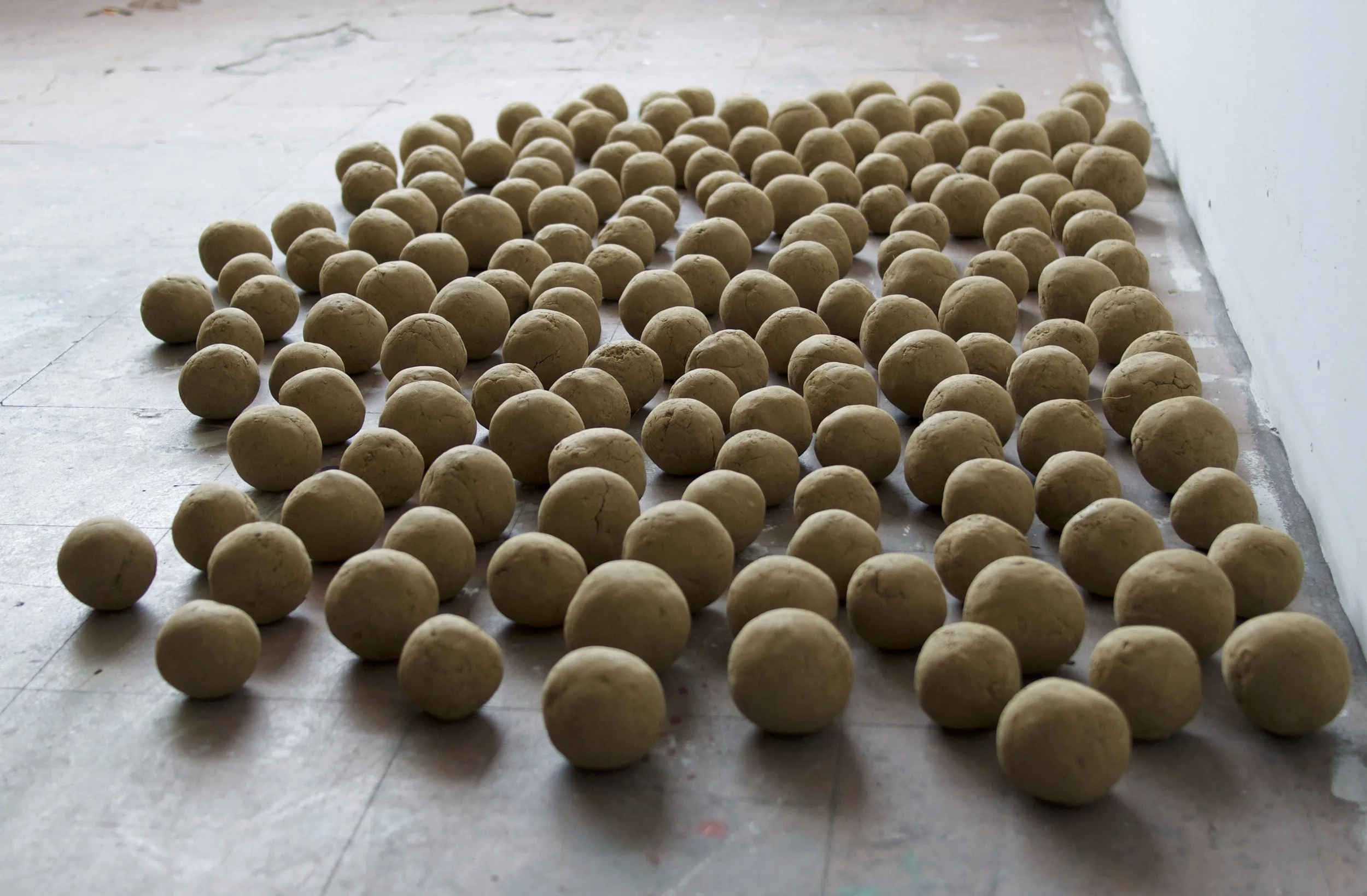 self-portrait, 171 dirt balls