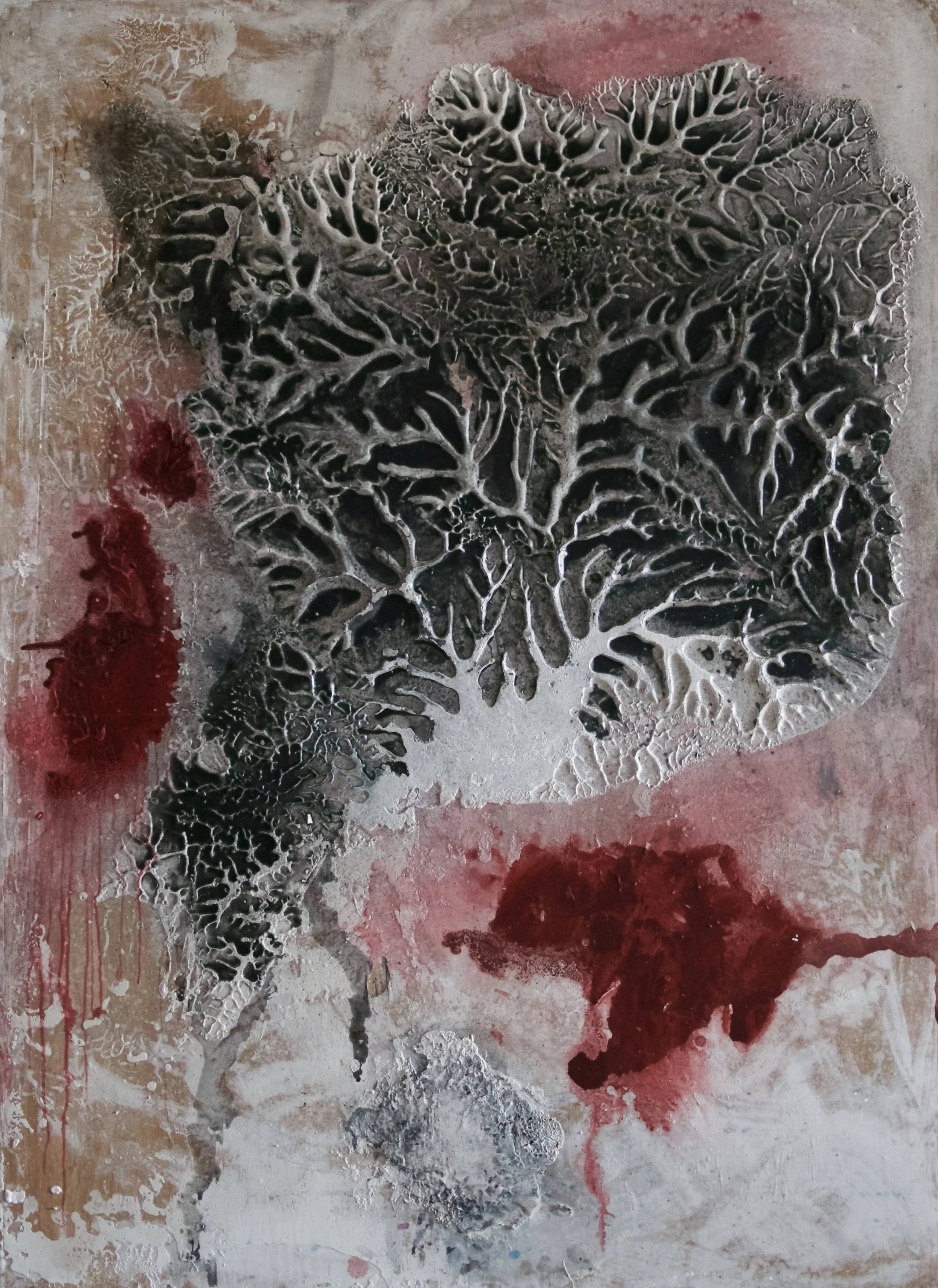 Untitled 2 (Pareidolia Series).jpg