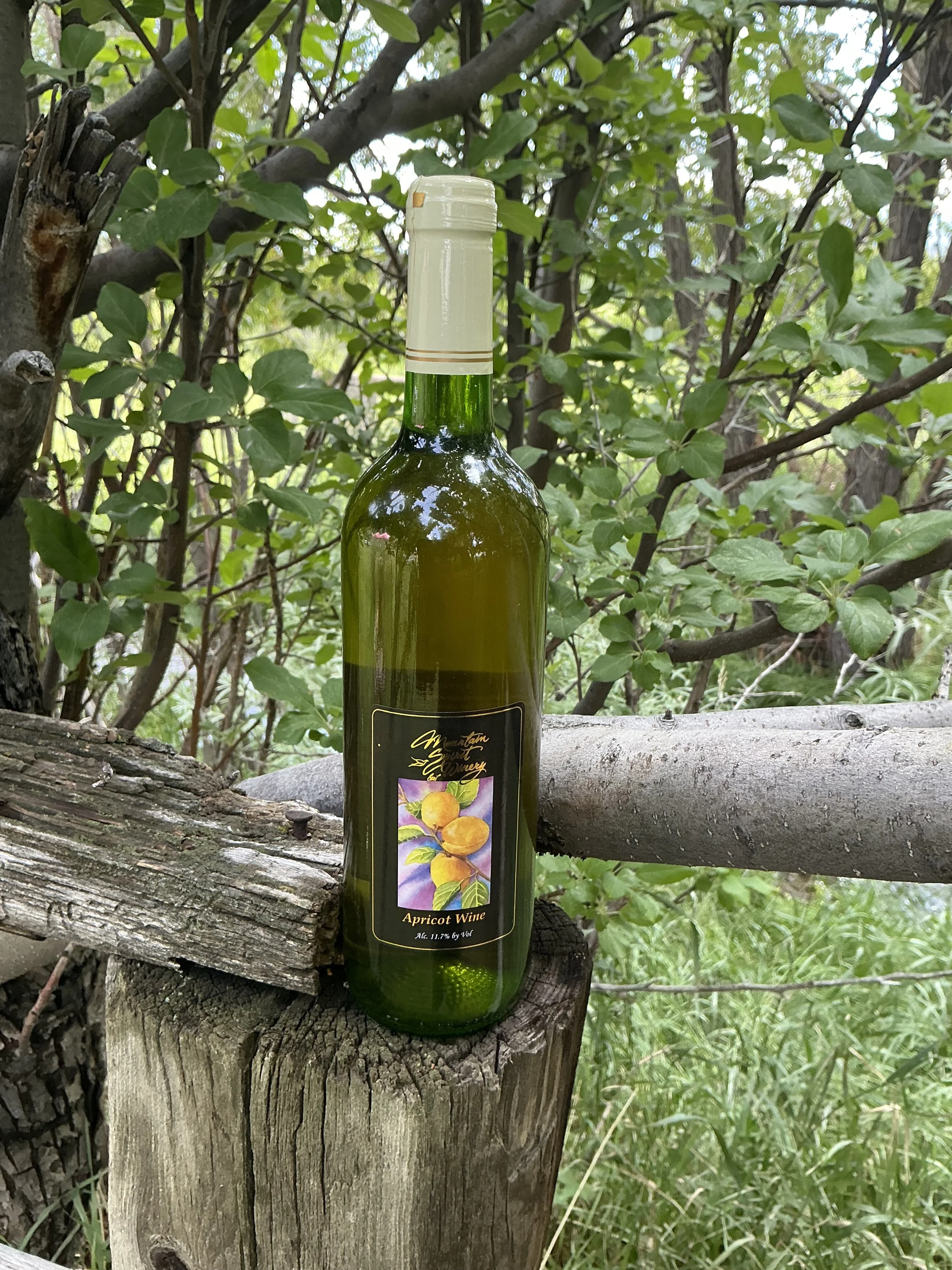 Apricot Wine (Seasonal)