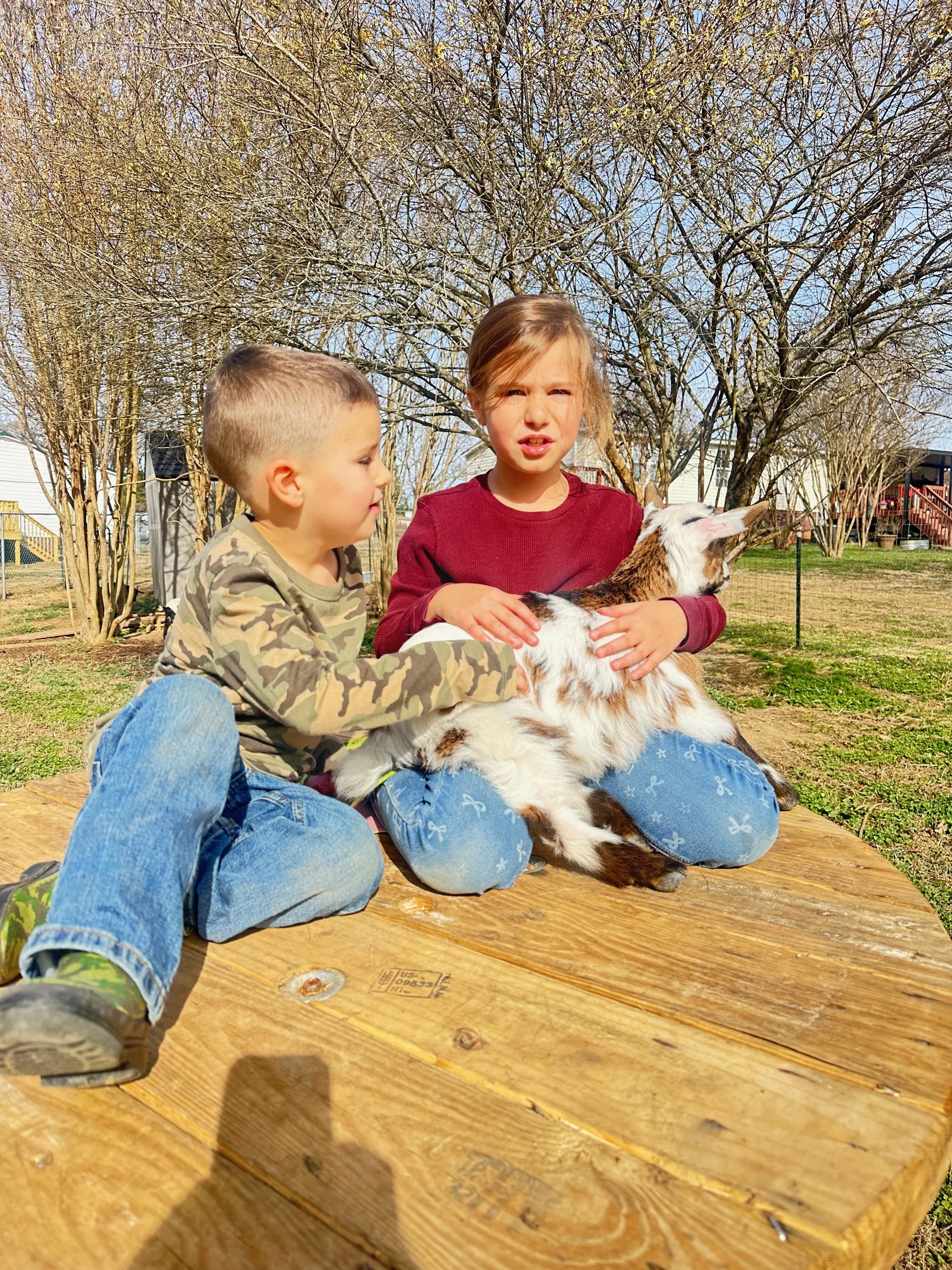 Meet the New Additions to the Homestead