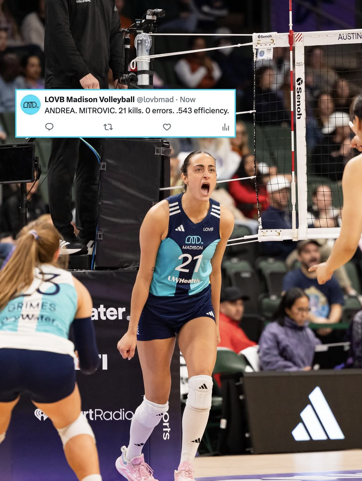 Screenshot 2026-04-17 at 16.53.53.png