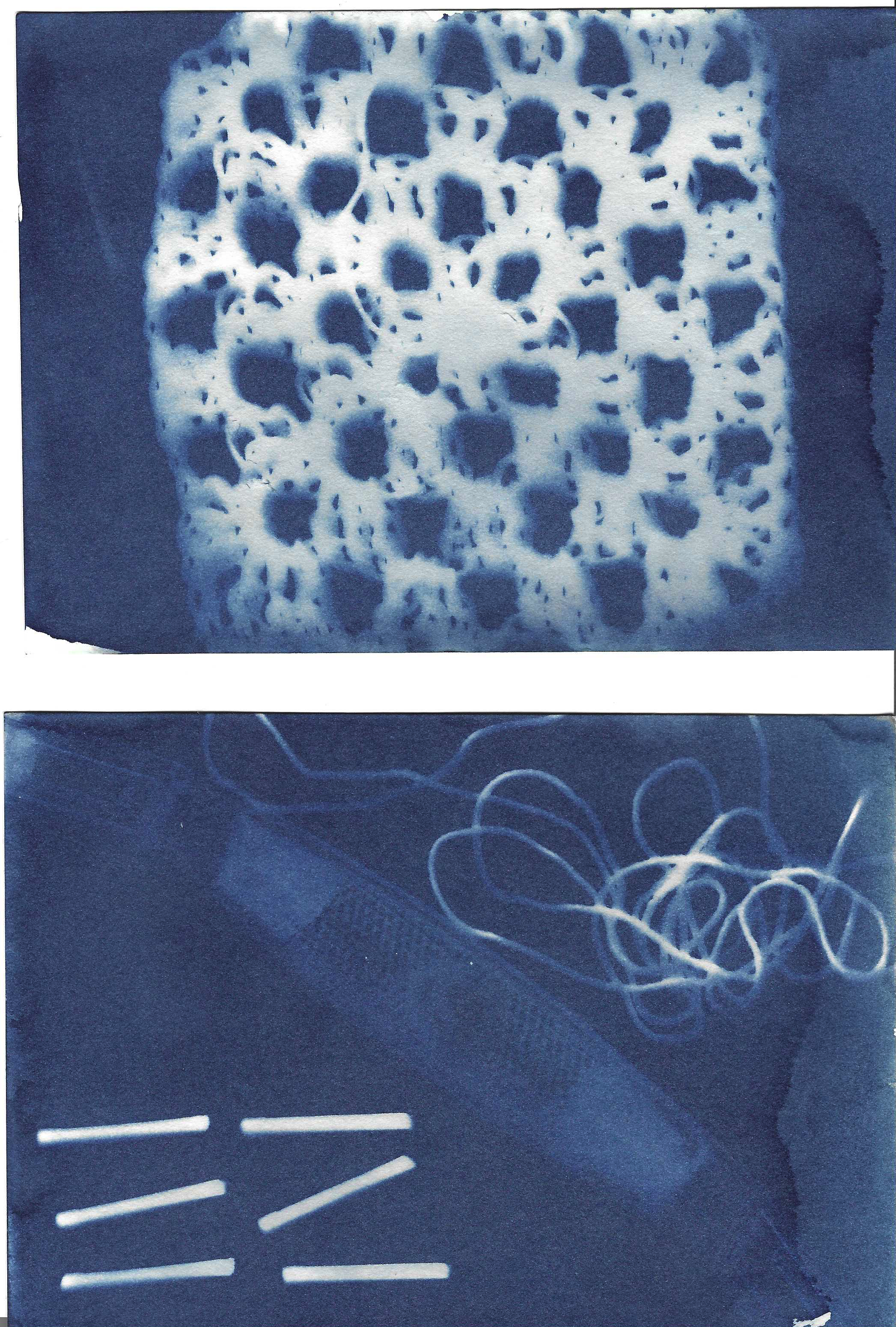 cyanotype on paper, 2022
