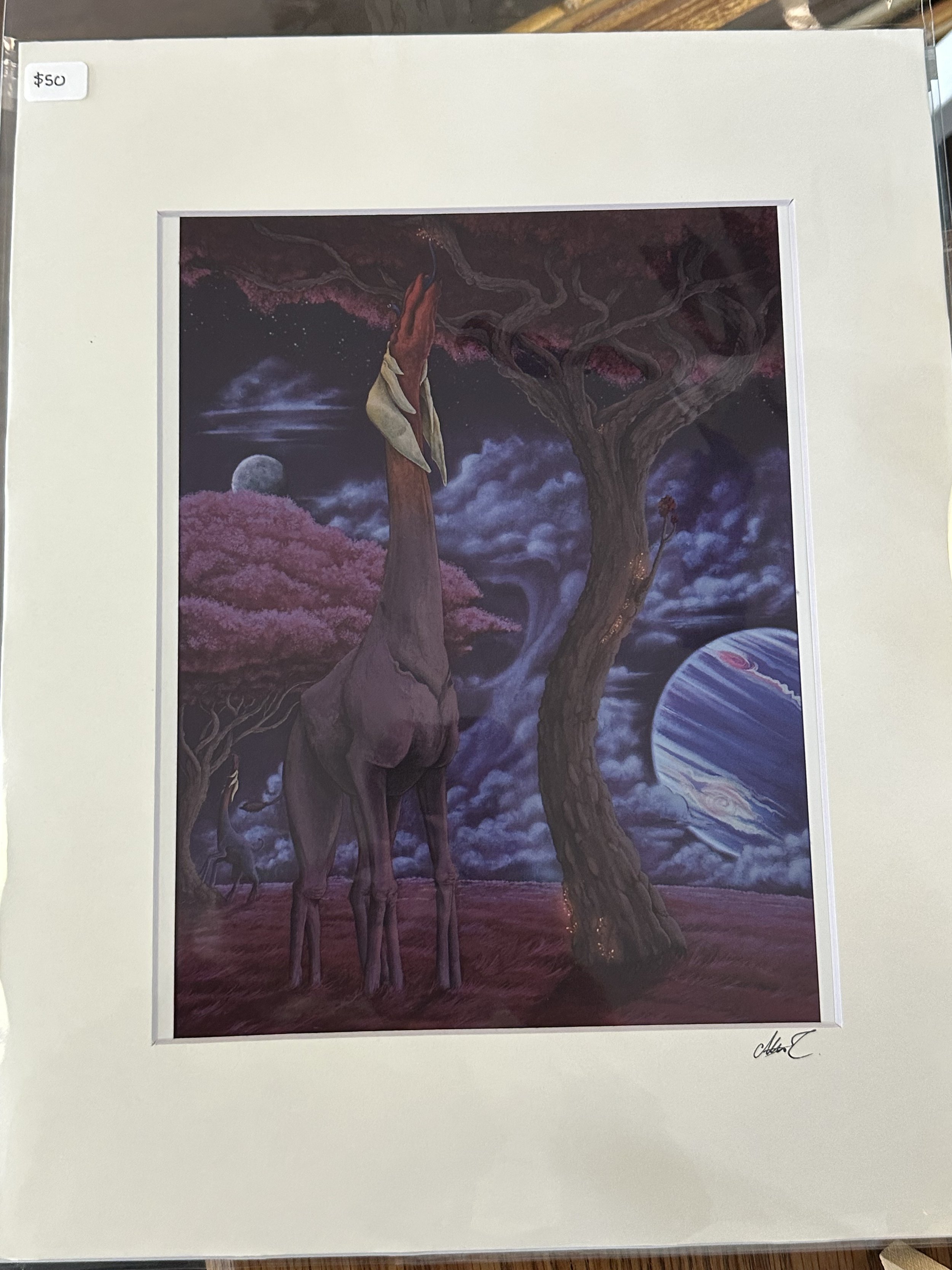 Vita Creature print