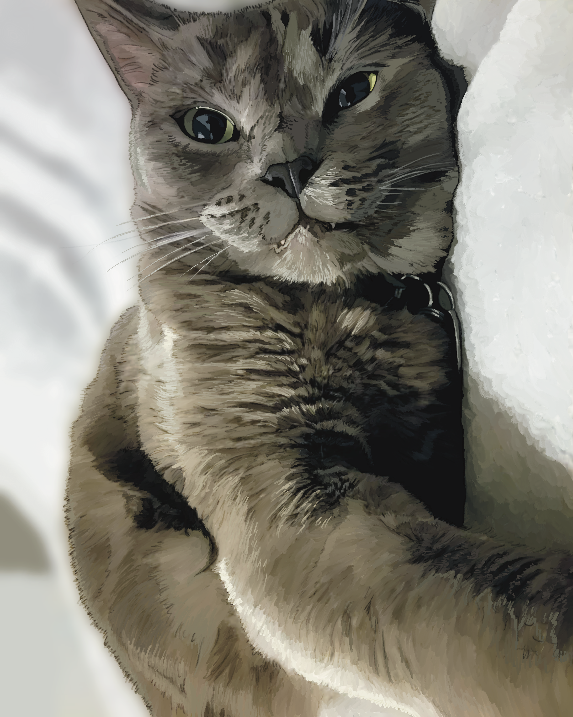 Sadie portrait .png