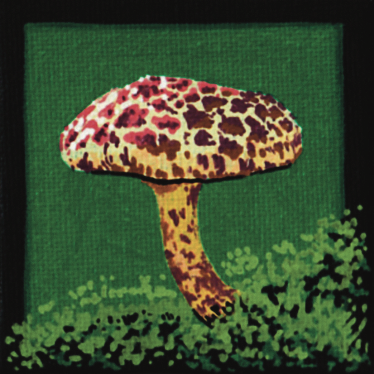 Acrylic Paint Markers
2.5x2.5” Canvas