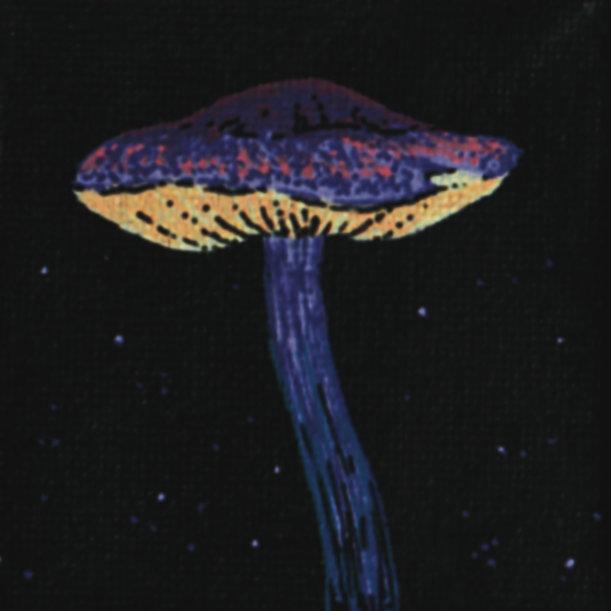 Acrylic Paint Markers
2.5x2.5” Canvas