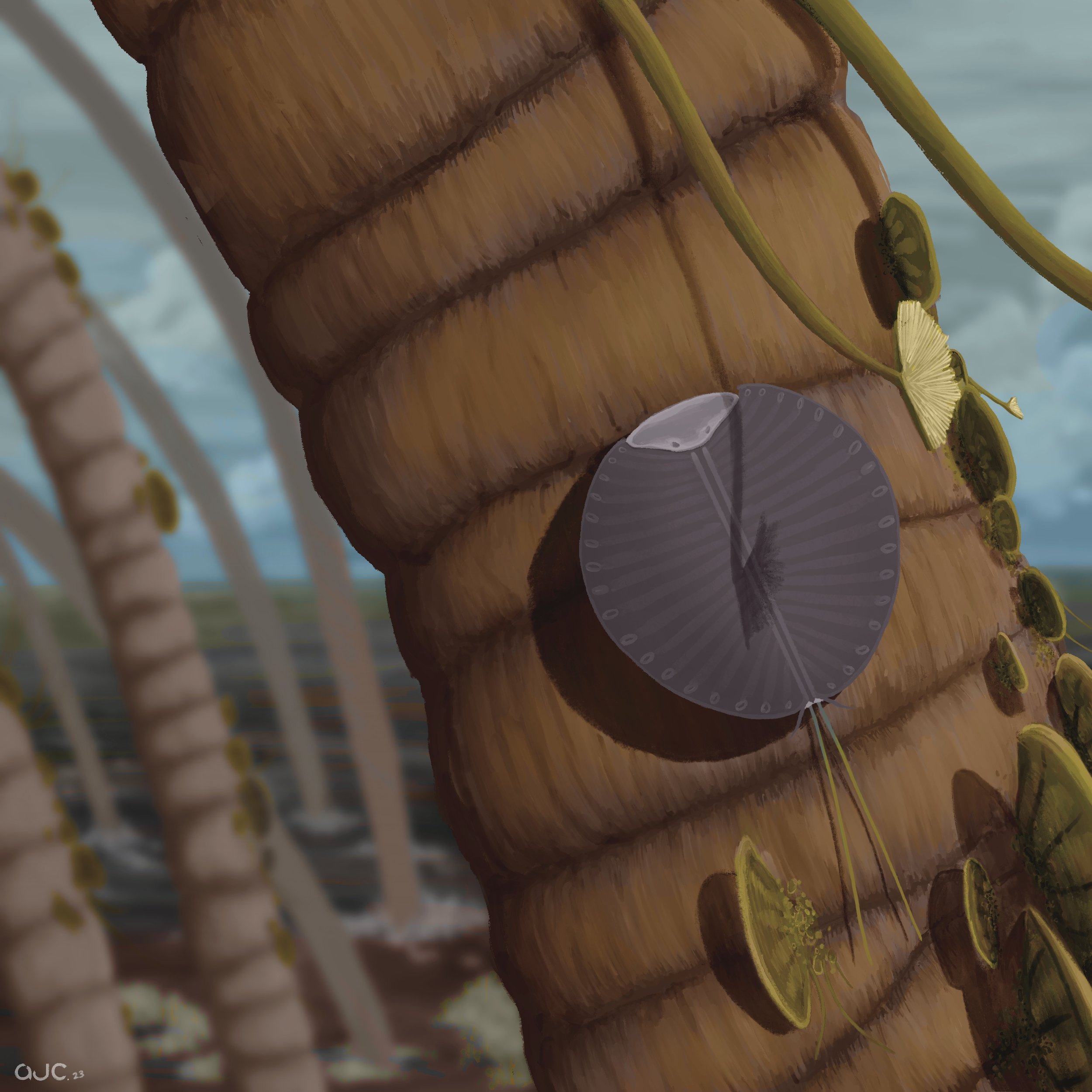 Isla_Project.jpeg