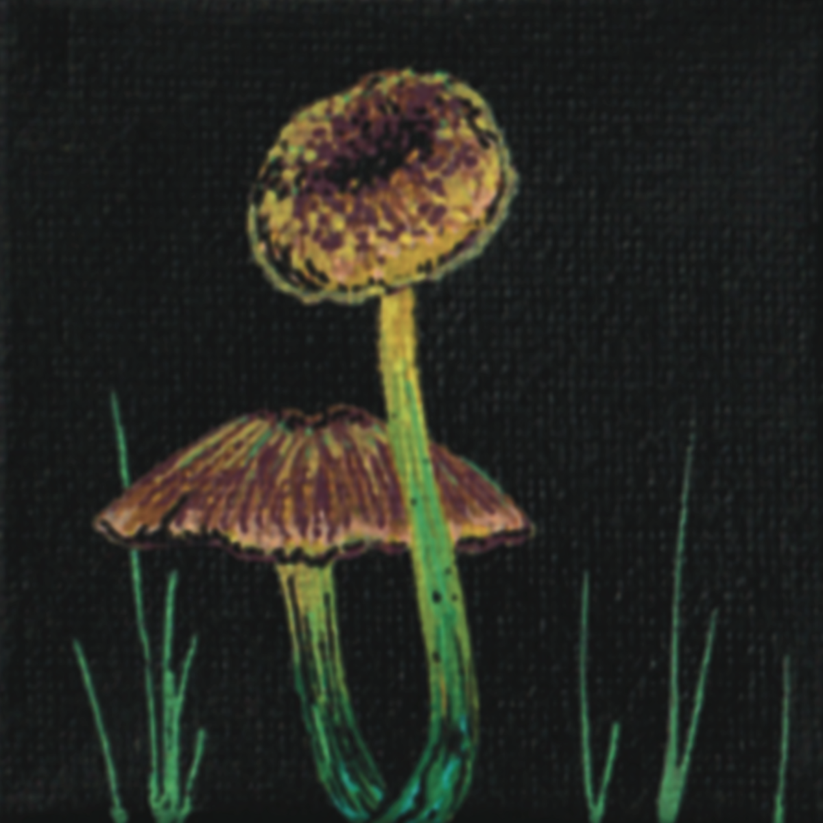 Acrylic Paint Markers
2.5x2.5” Canvas