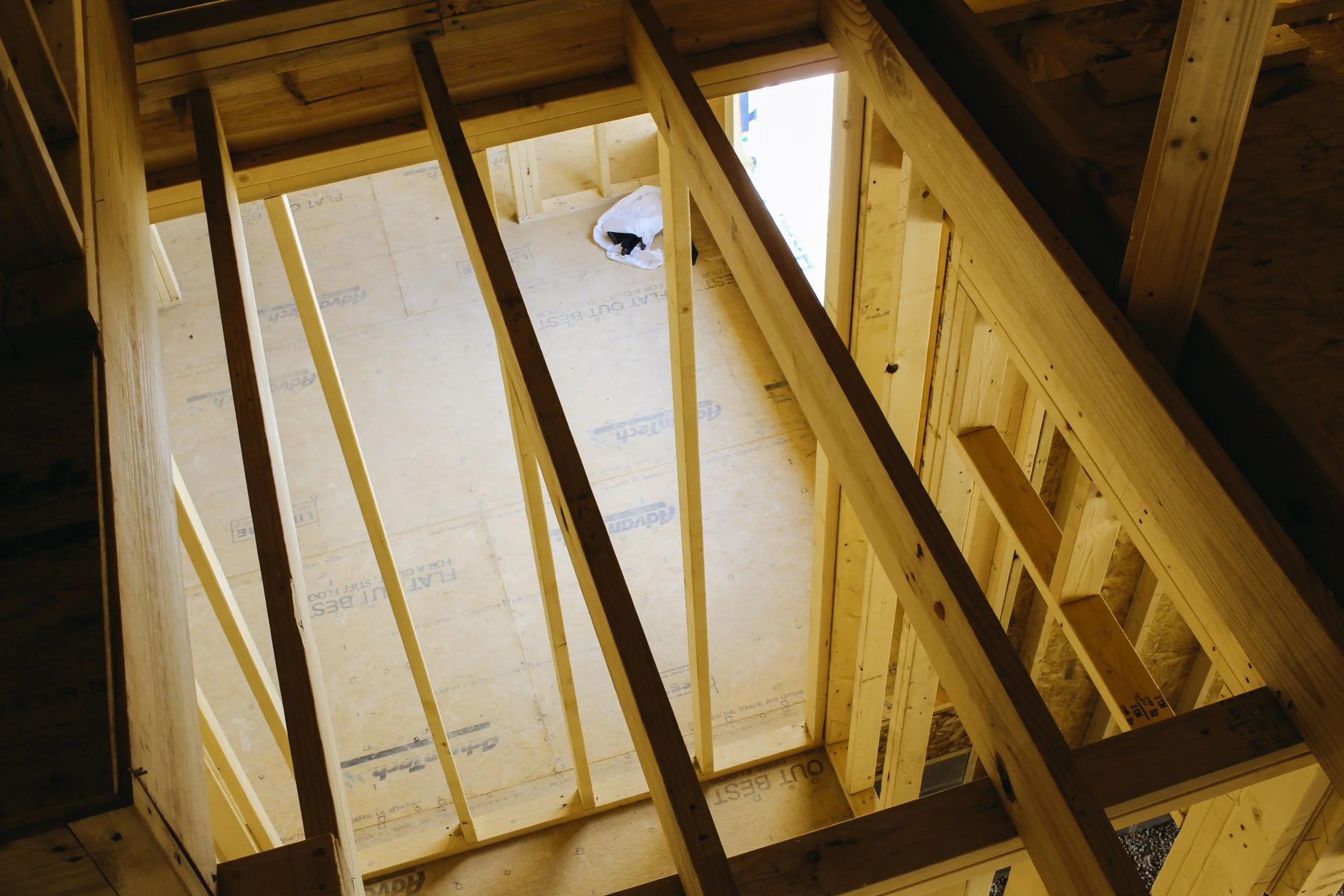 View of a house under construction showing wooden framing with floor and ceiling joists, with a small dog on the floor.