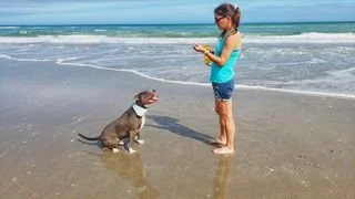 Melbourne beach