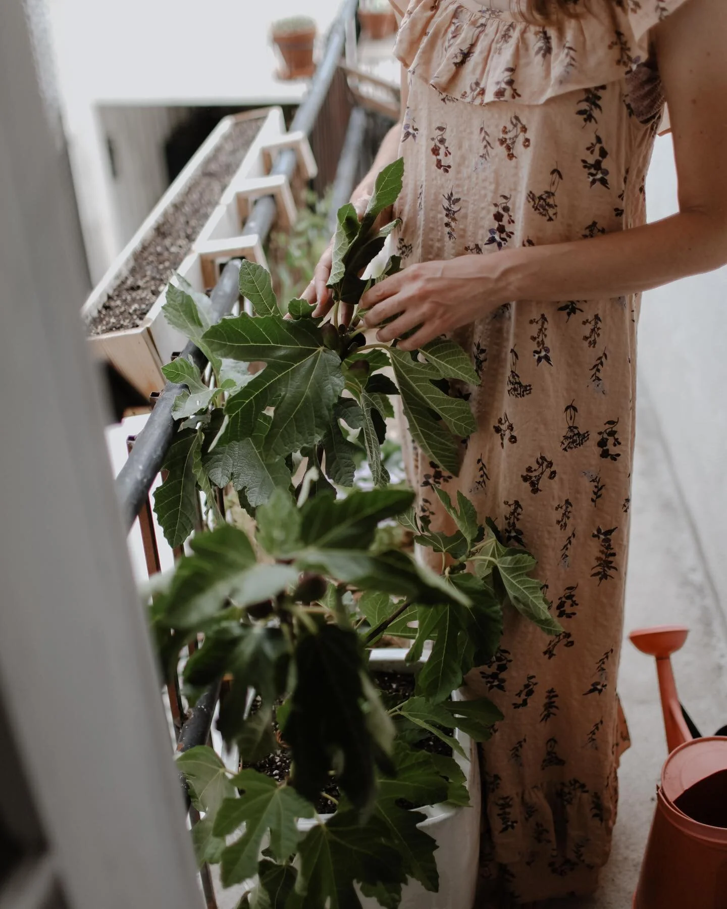 CYCLE CHARTING

PT 2

Further tips on the benefits of cycle charting

- When learning to cycle chart, we also learn another valuable skill: how to check our own cervix. We can ask our midwives at a check-up to help us learn how to check for changes i