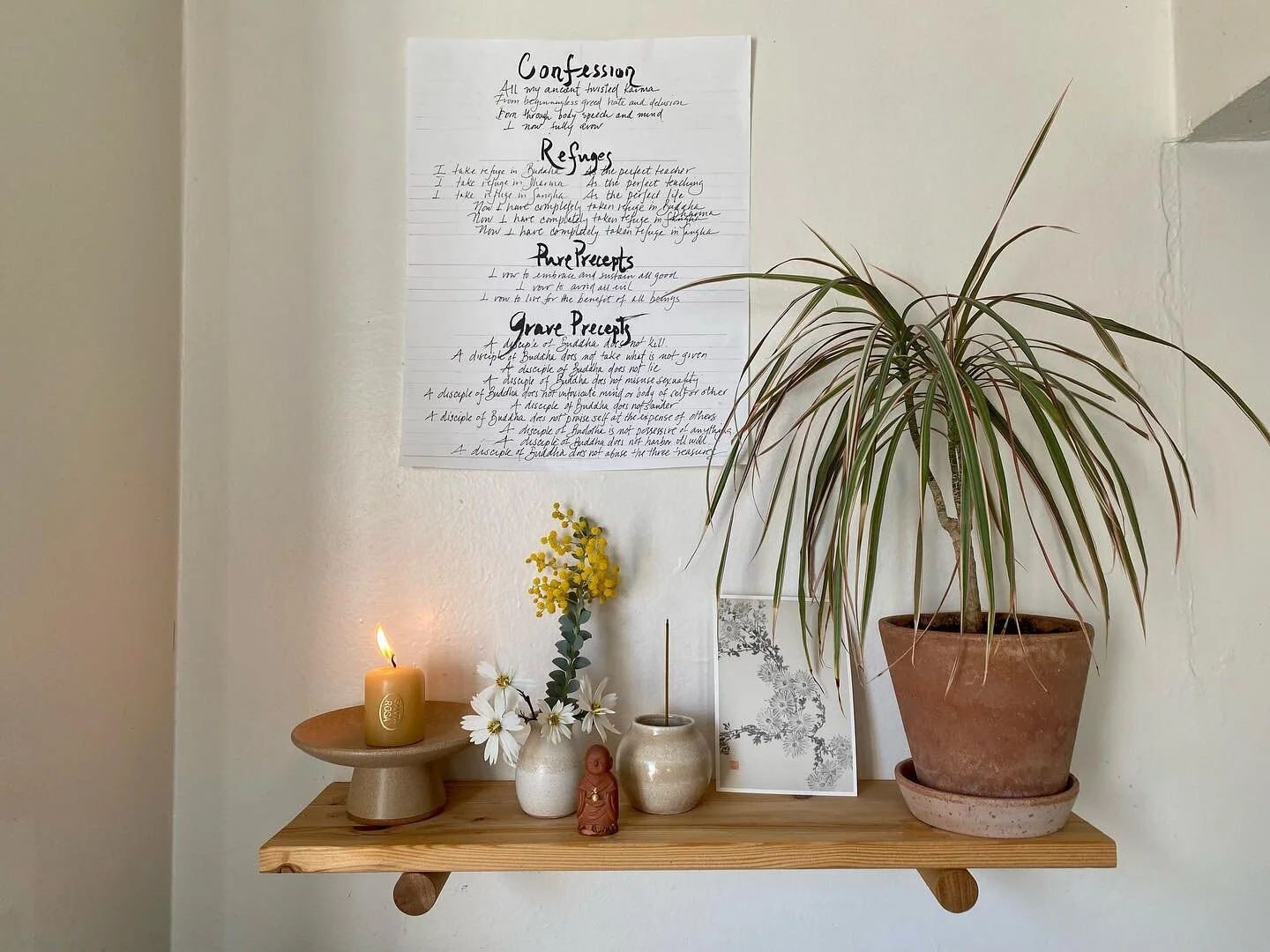 February Altar

featuring wattle blossoms, santa rosa amber candles, fizzy white cosmos, jizo bodhisattva (saint of travelers through all realms, children, and birthing women), a drawing by Katharina Shepherd and temple incense from san francisco zen
